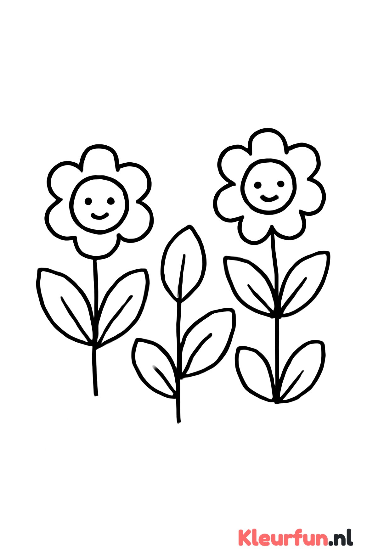 Plantjes met grote eenvoudige vormen