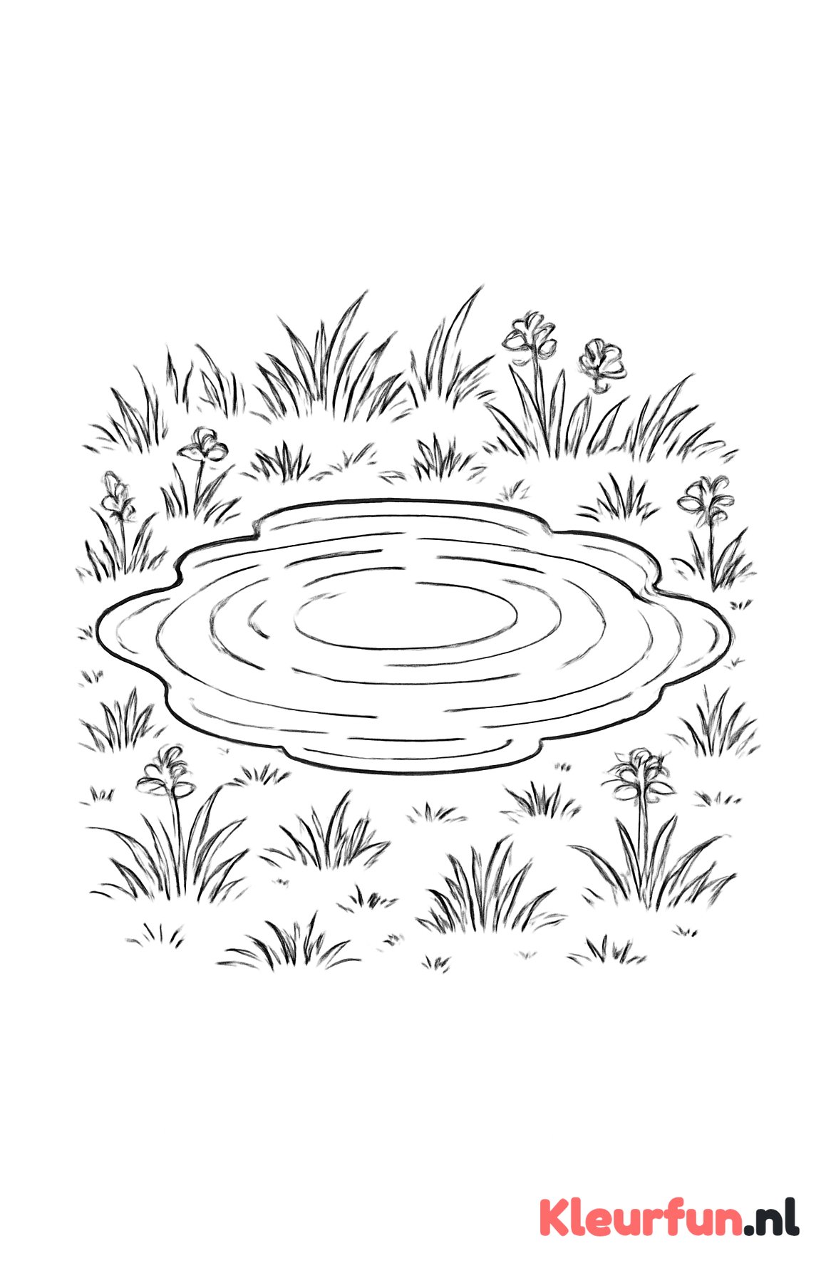 Realistische plas water in de natuur