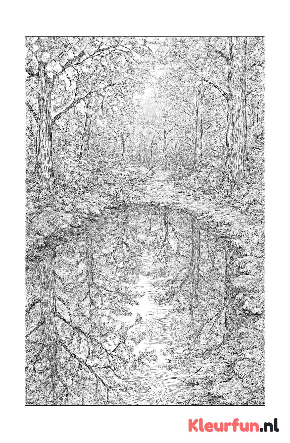 Reflecterende plas water in het bos