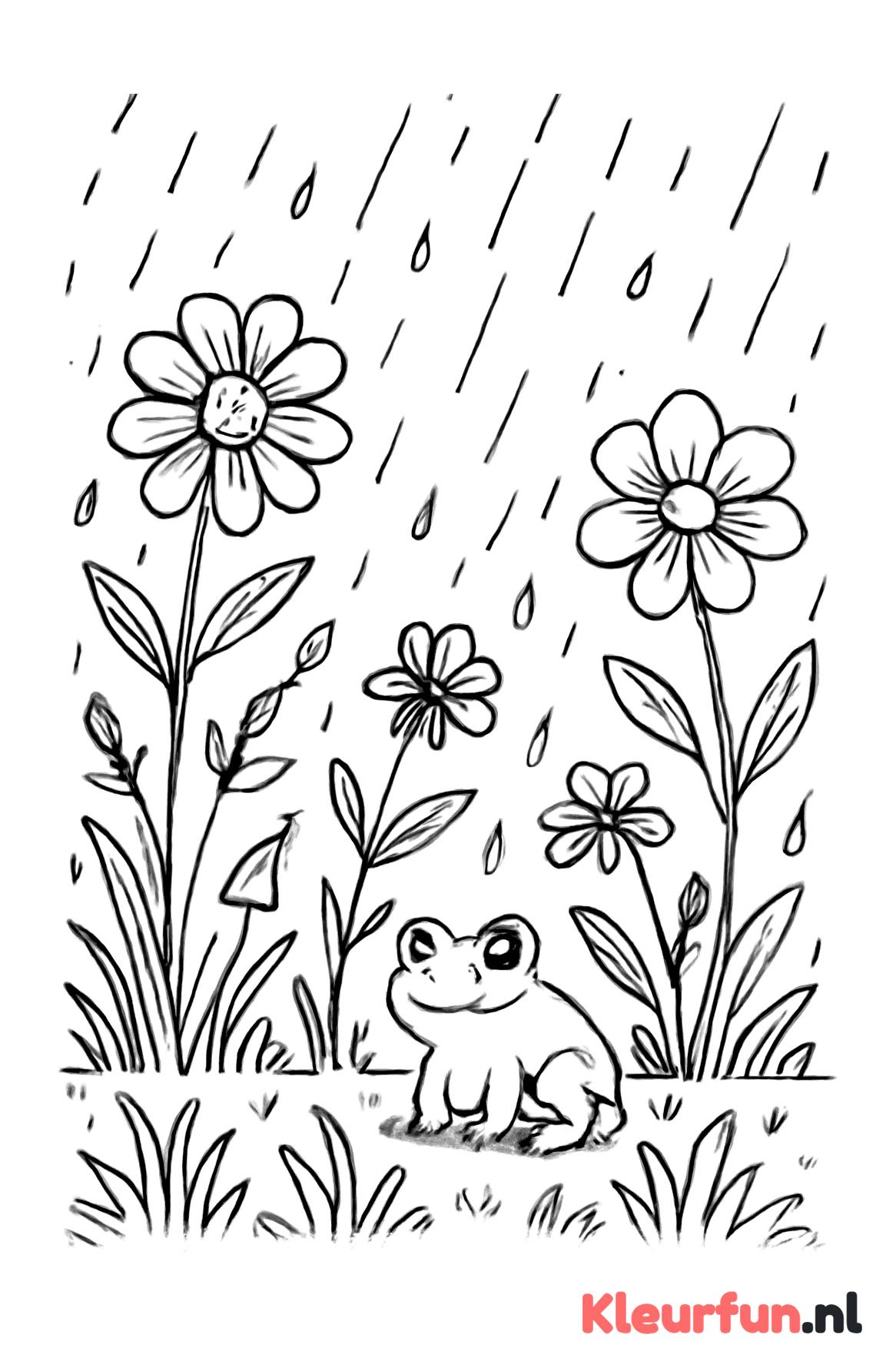 Regenachtige tuin met kikker