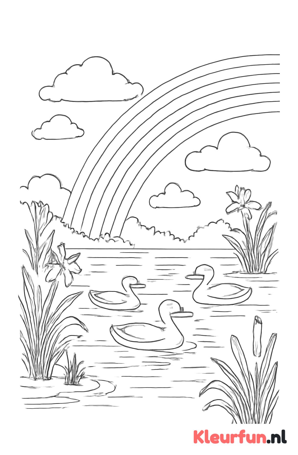 Regenboog boven meer met eenden en waterplanten