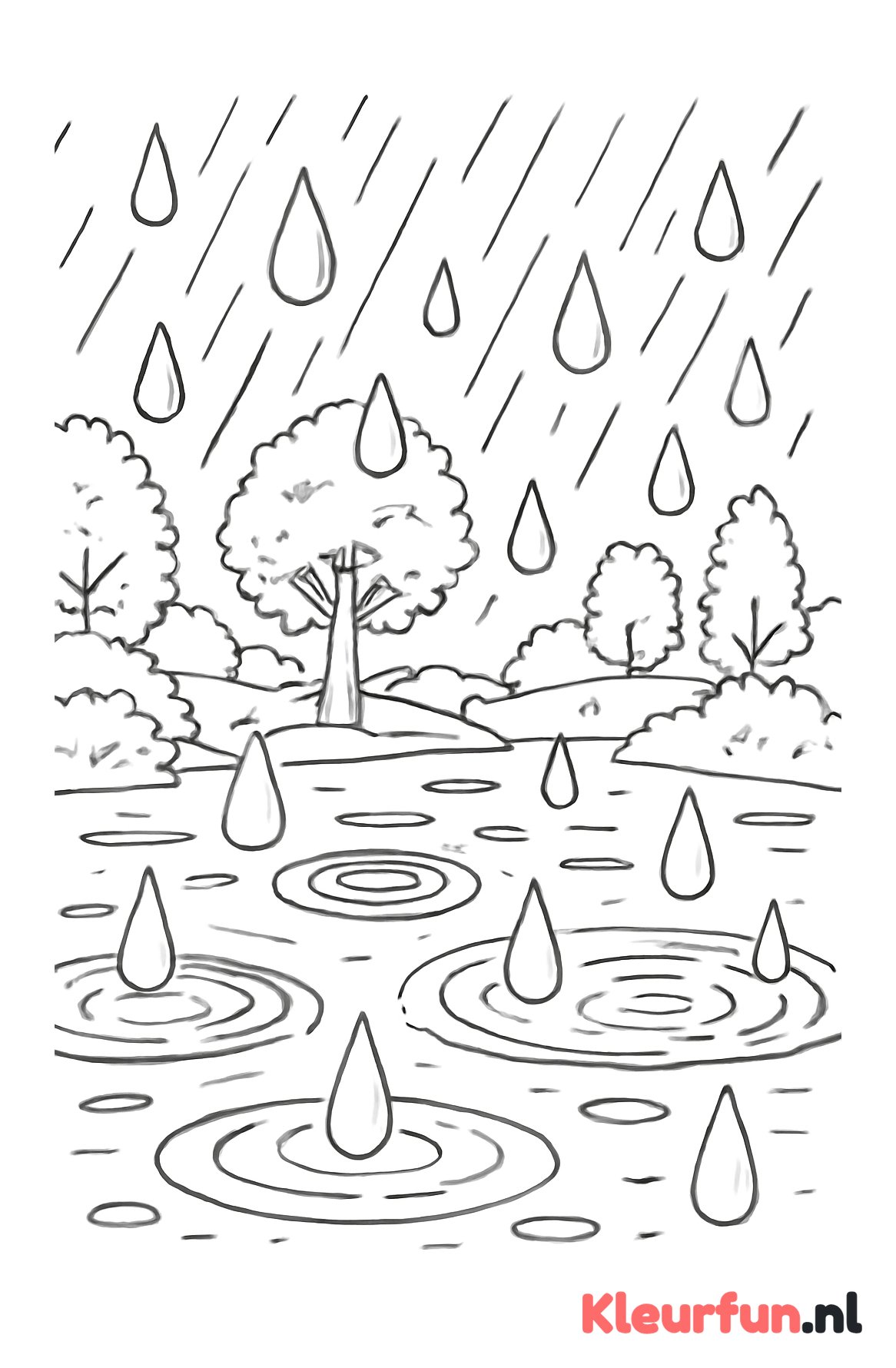 Regendruppels in het bos