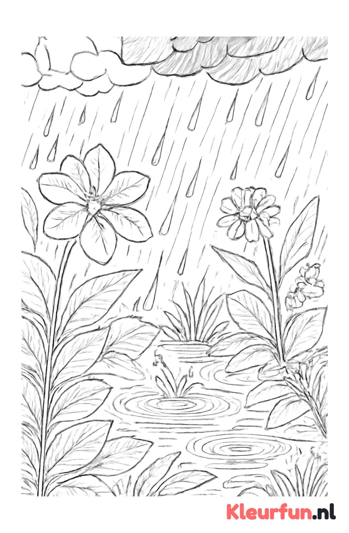 Regenlandschap met waterplassen en druppels