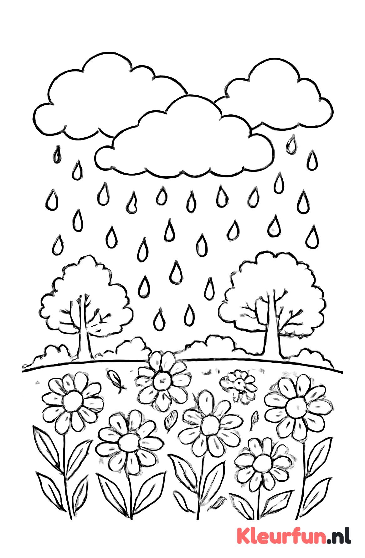 Regenwolken met veld en bloemen
