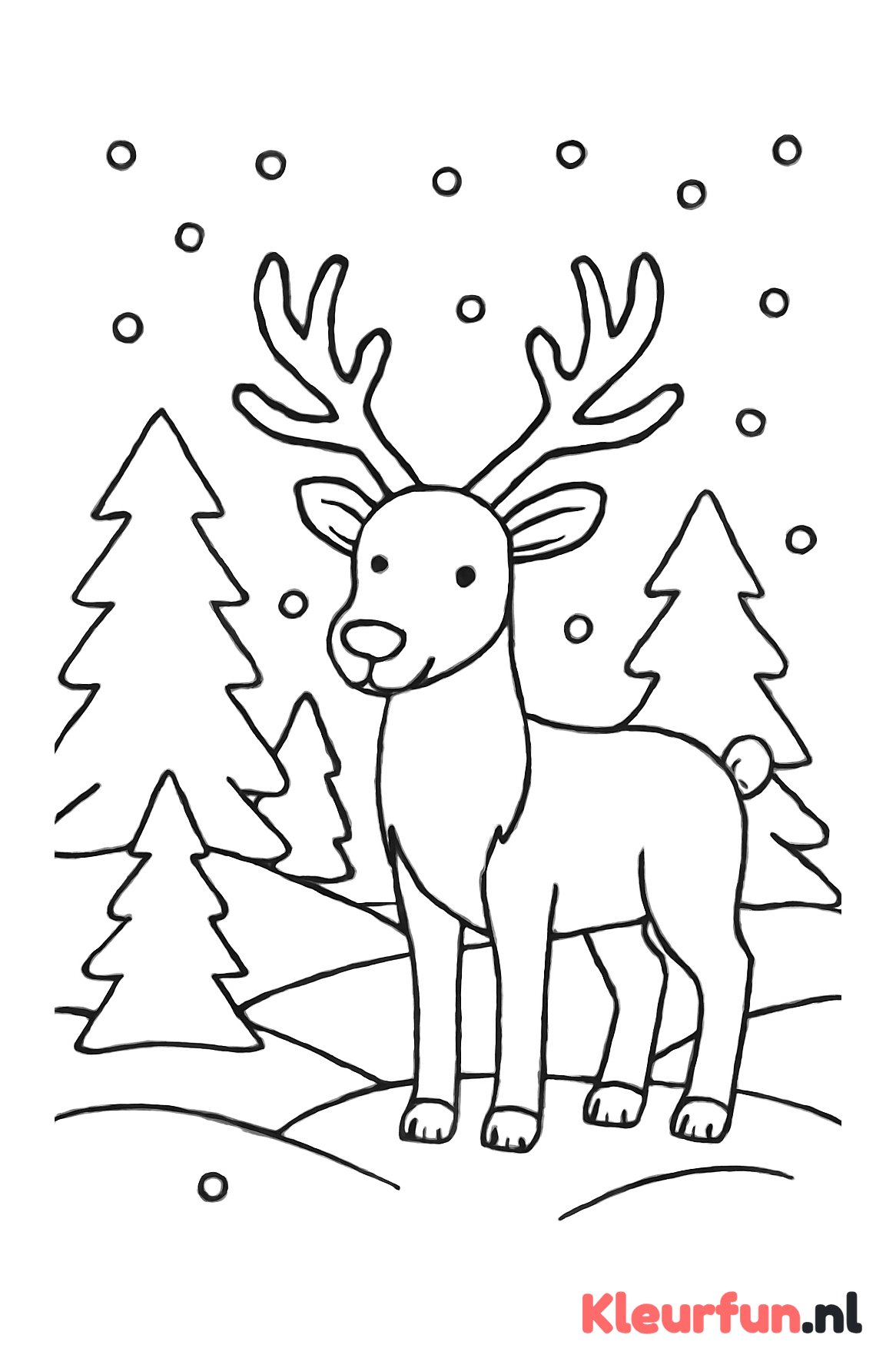 Rendier in het winterbos