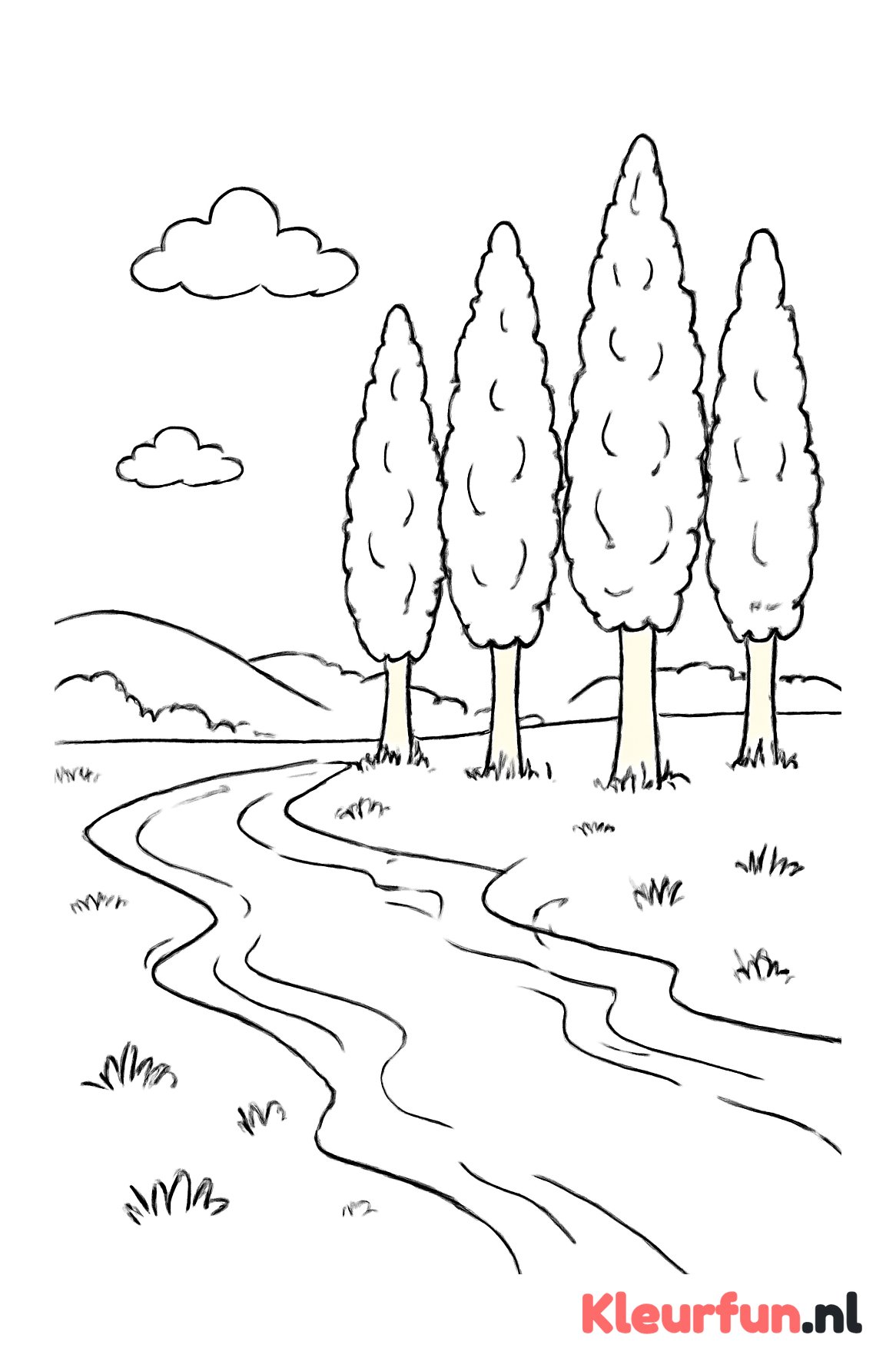 Rij populieren langs rivier