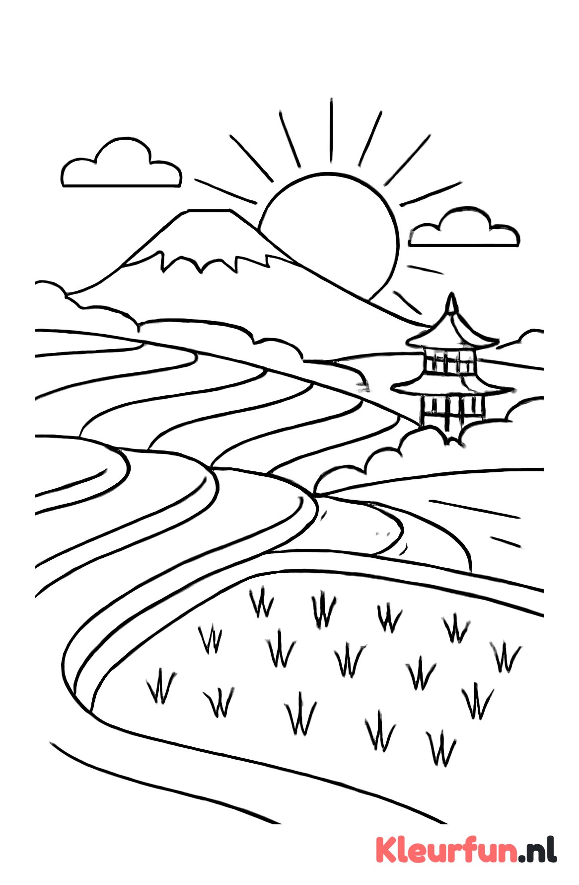 Rijstterrassen in Japan