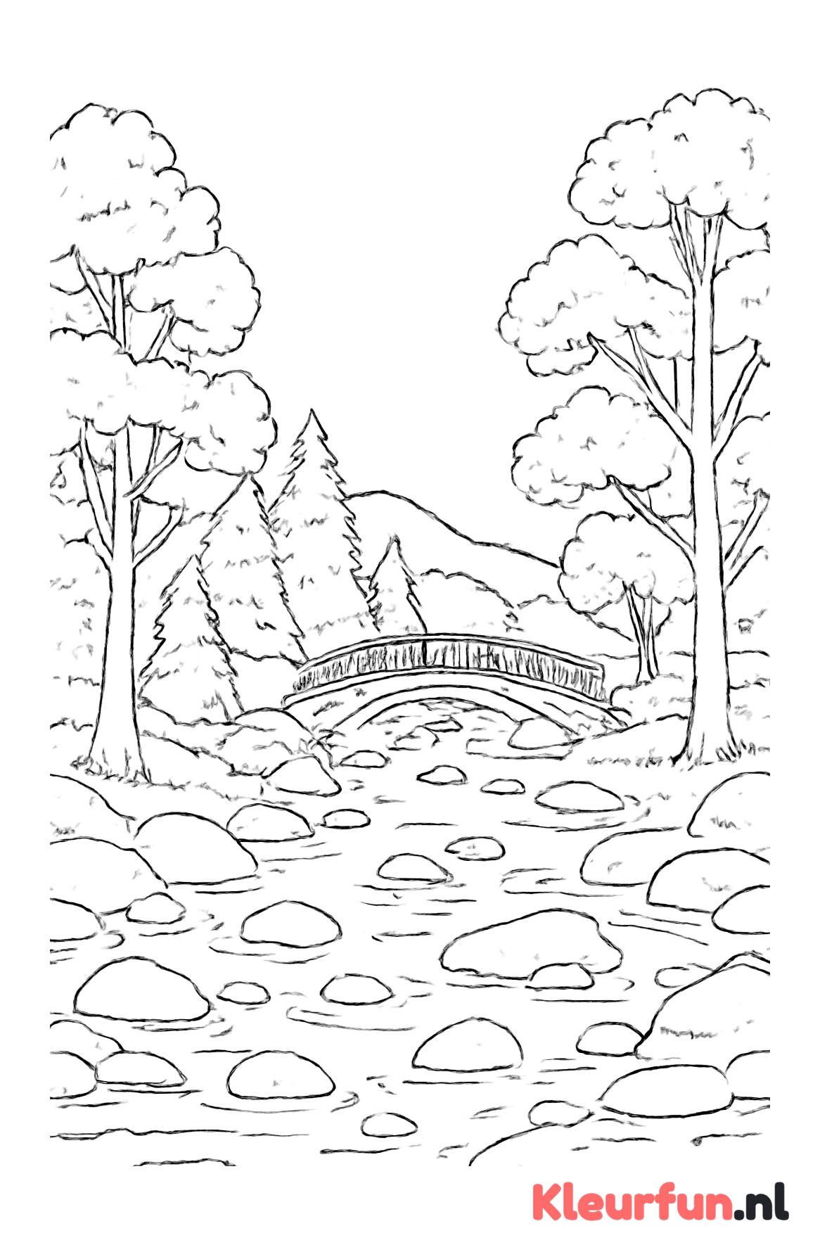 Landschap met rivier door bos