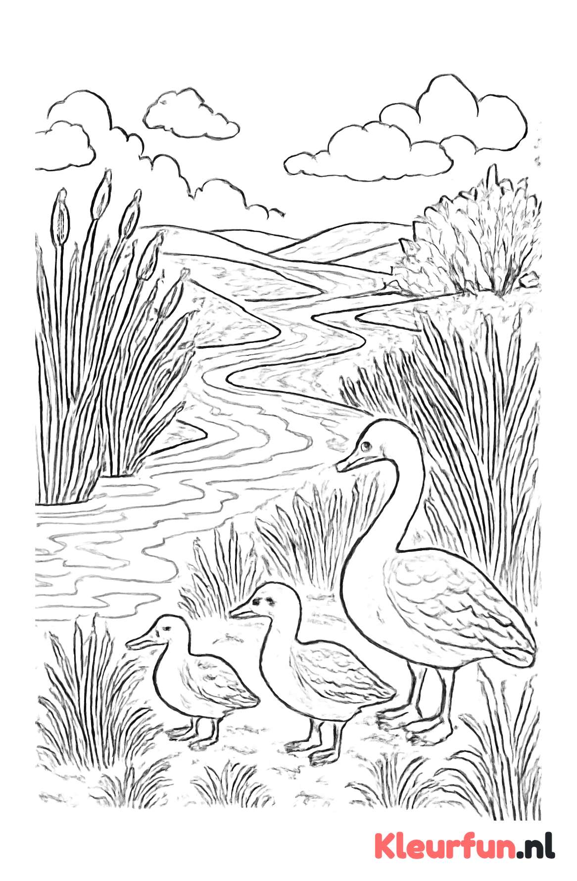 Rivier met watervogels