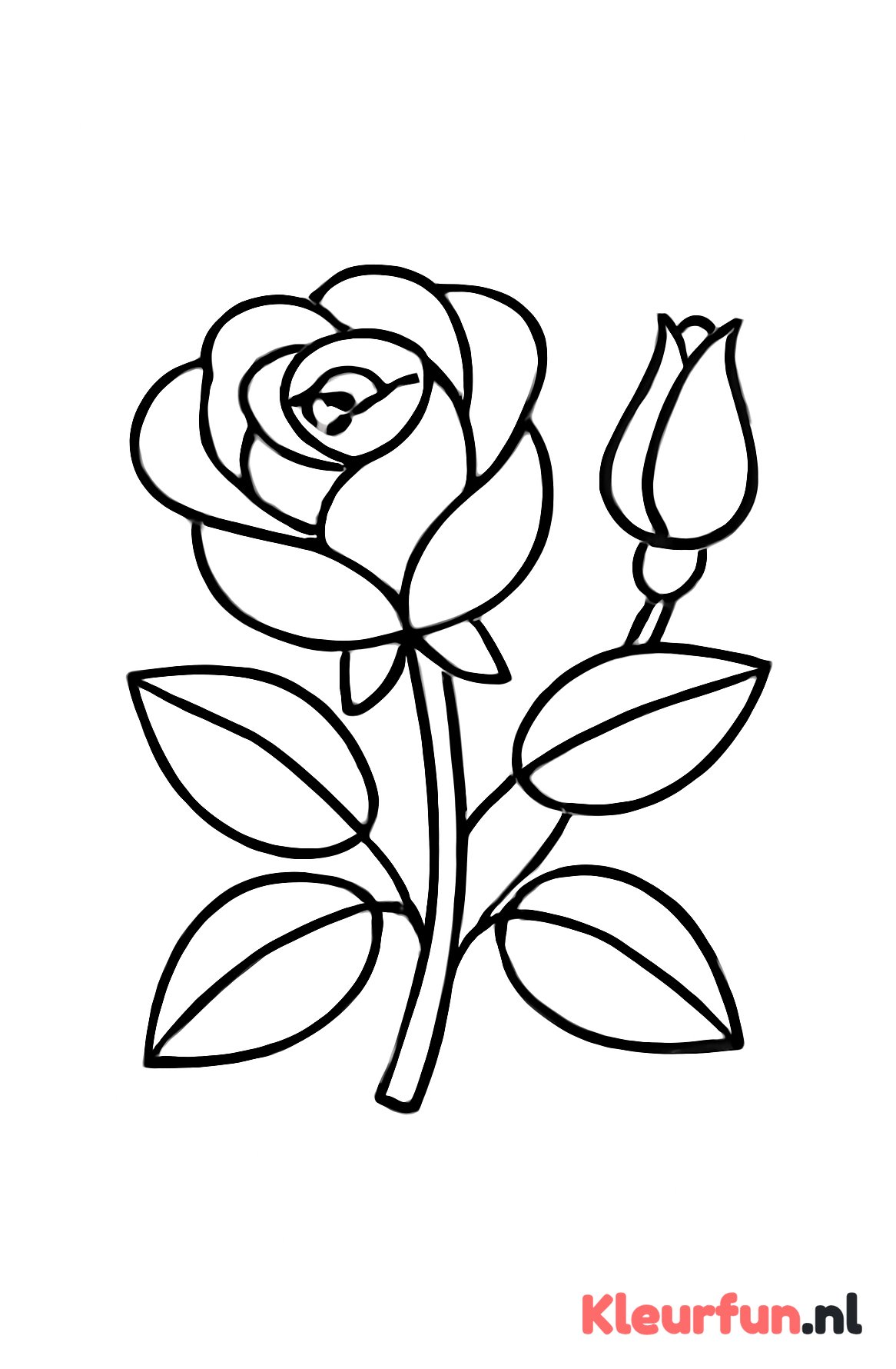 Roos en Knop