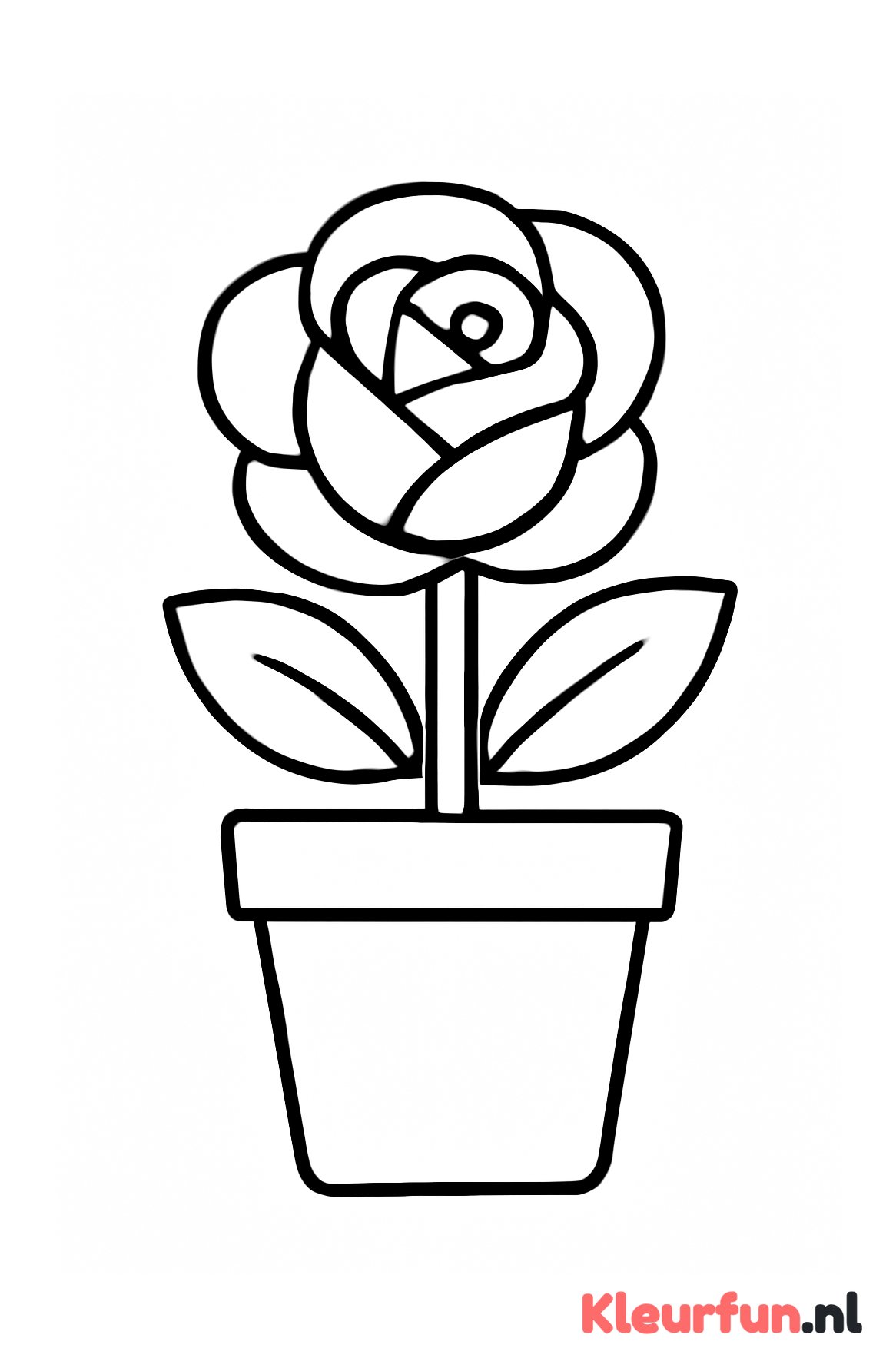 Roos in pot