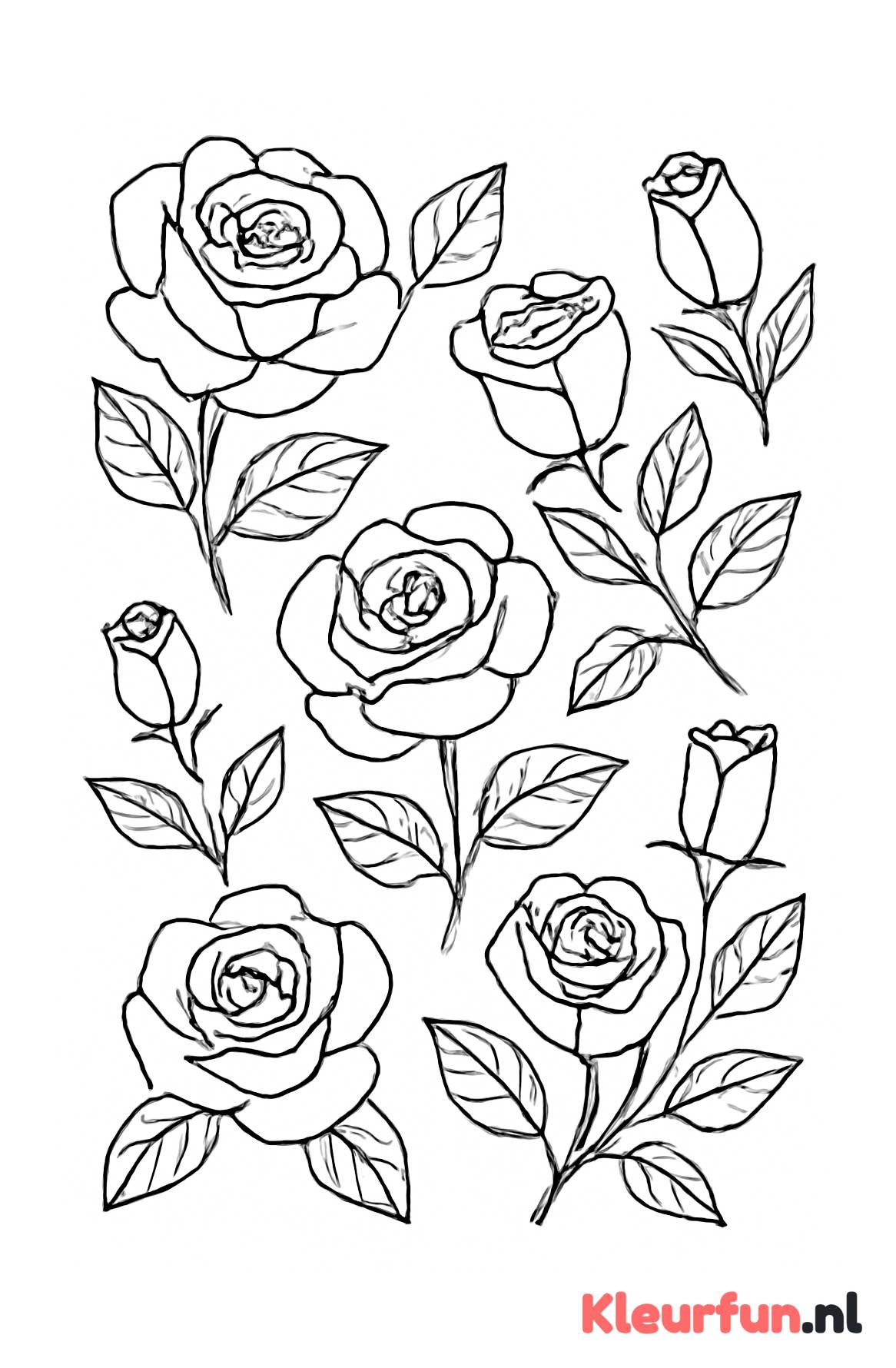 Rozen in Bloei