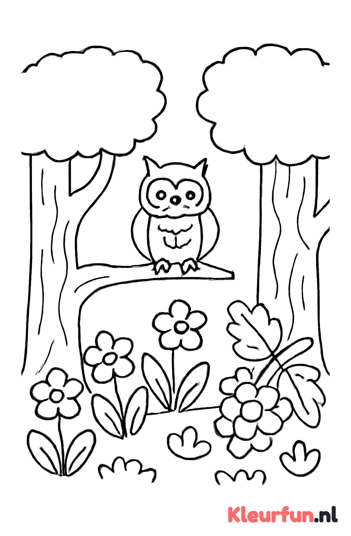 Rustige bosplek met eikenbomen