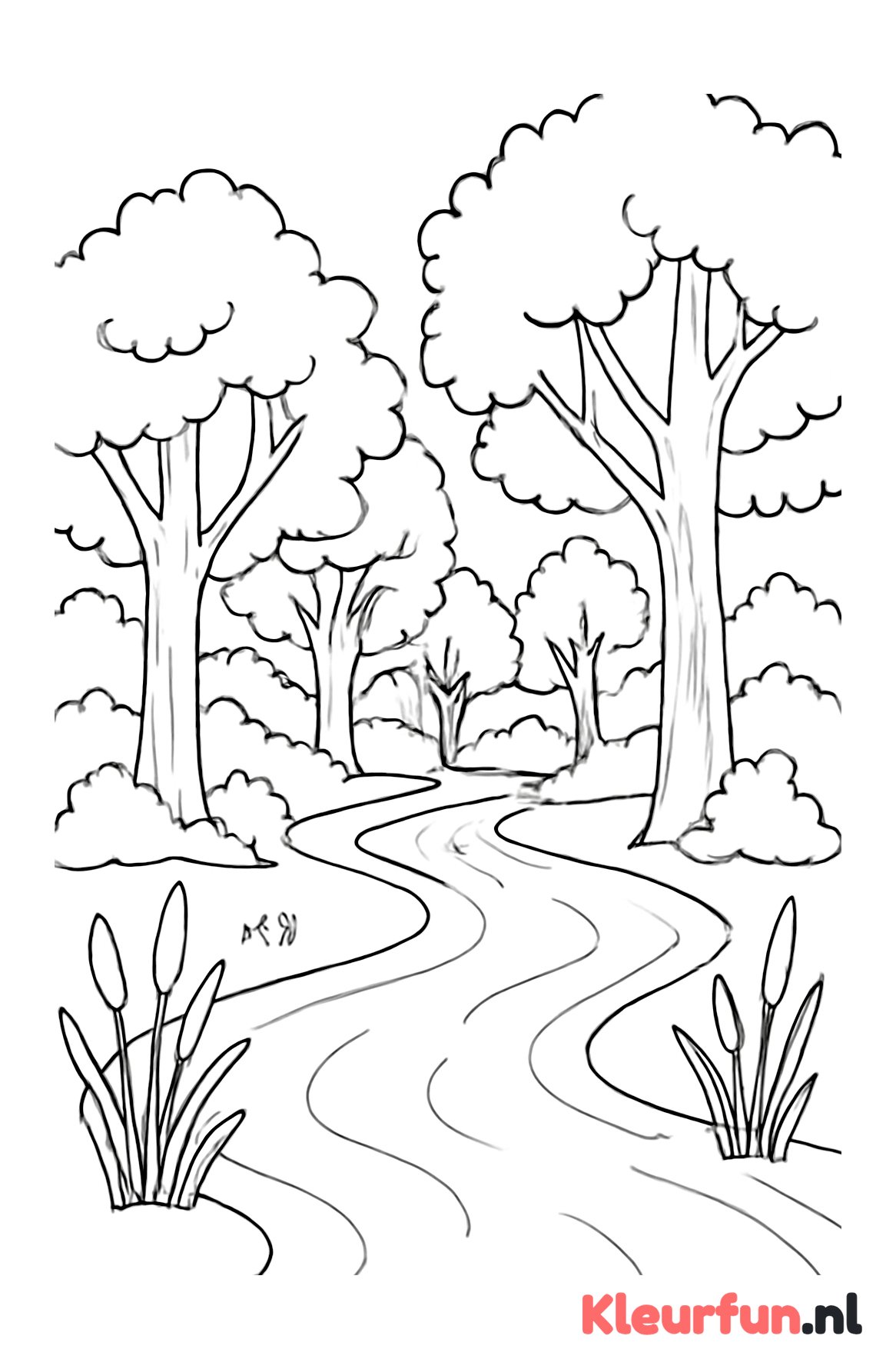Rustige rivier door het bos