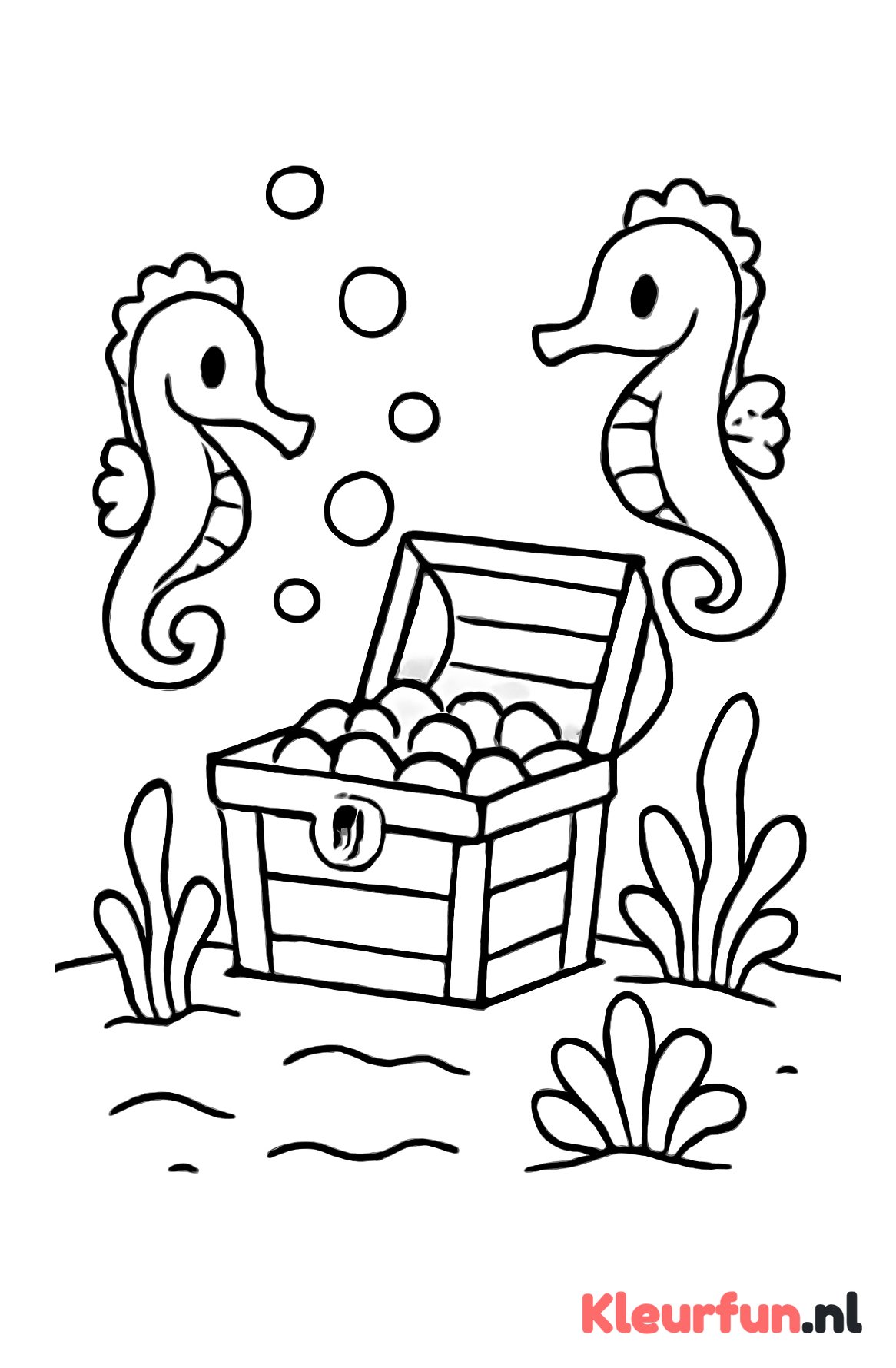 Schatkist met zeepaardjes en bubbels