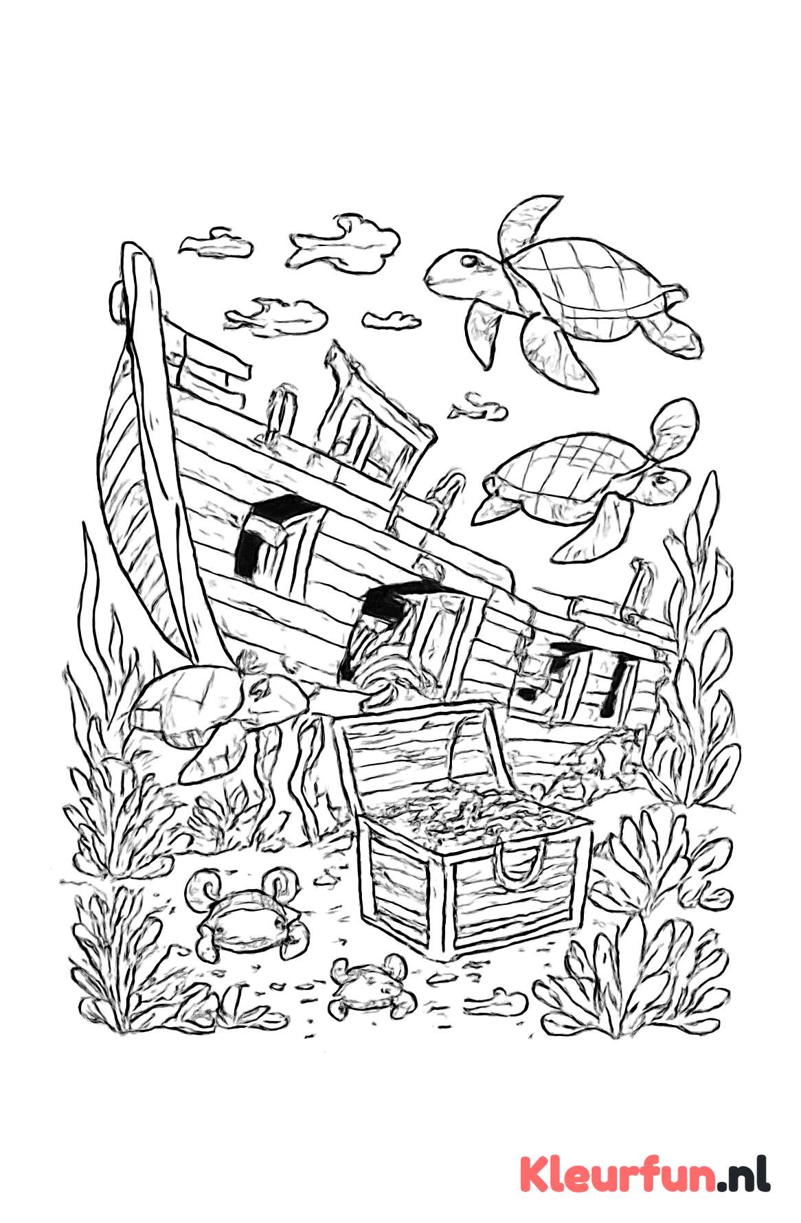 Scheepswrak met zeeschildpadden en schatkist