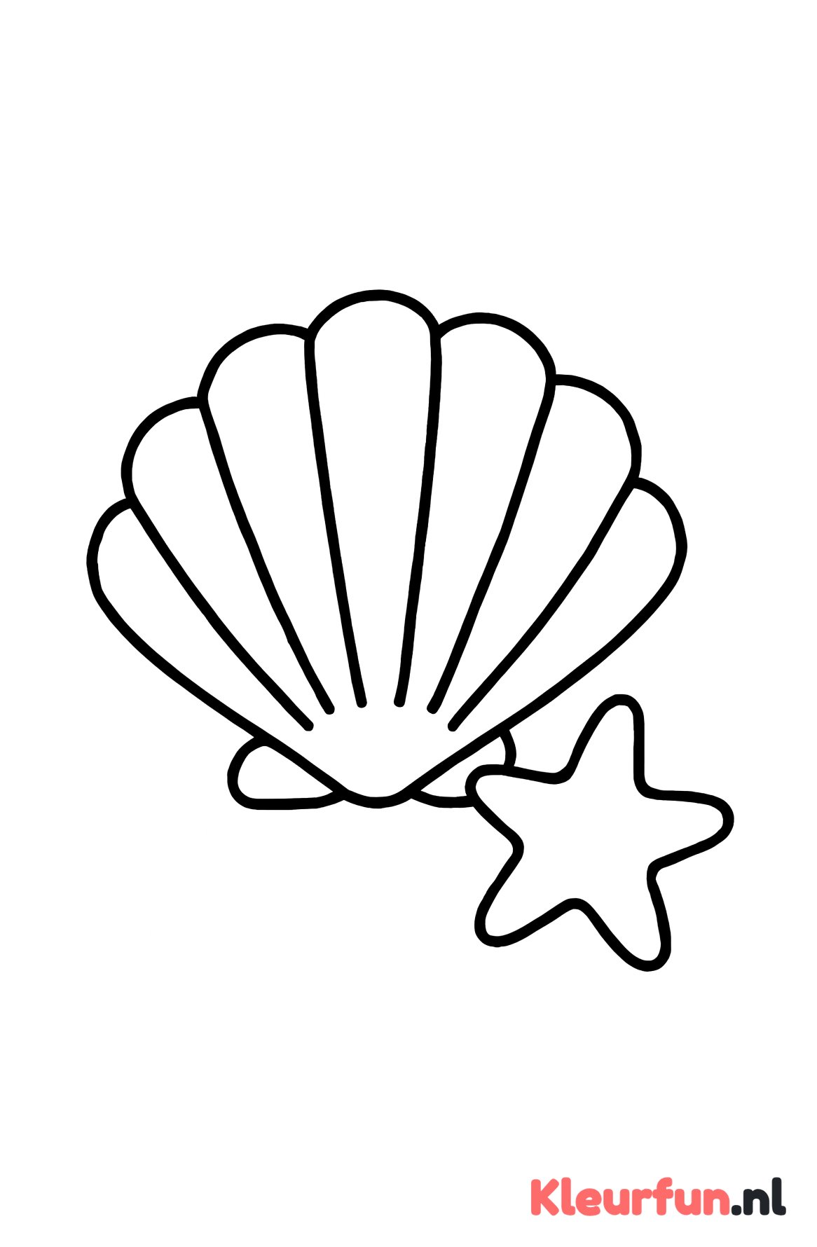 Schelp en zeester
