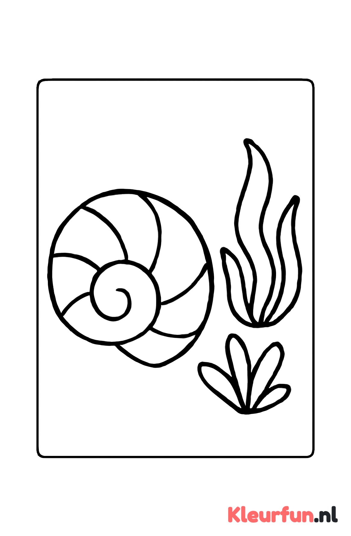 Schelp met waterplanten