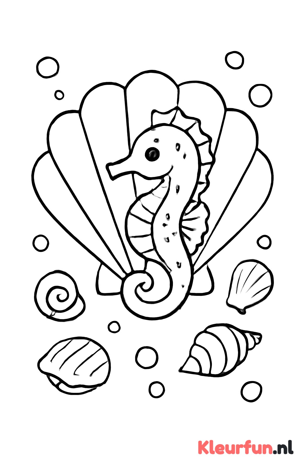 Schelp met zeepaardje en bubbels