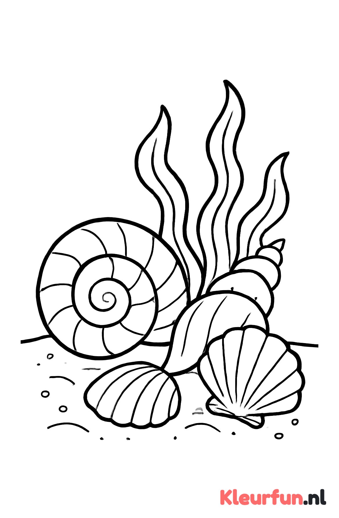 Schelpen in zand met zeewier