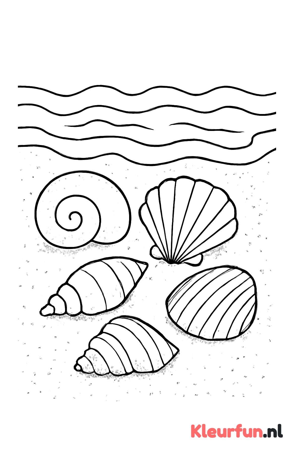 Schelpen op strand met golven
