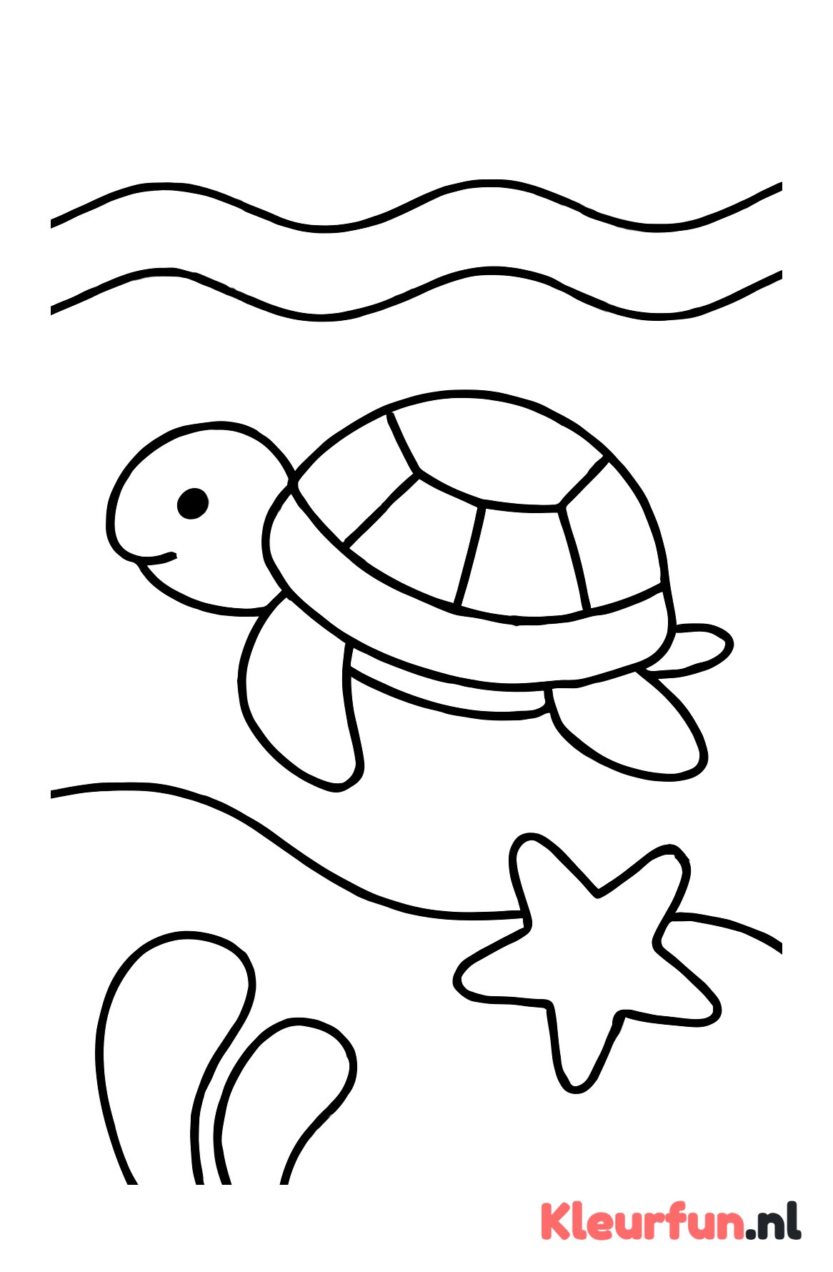Schildpad en zeester