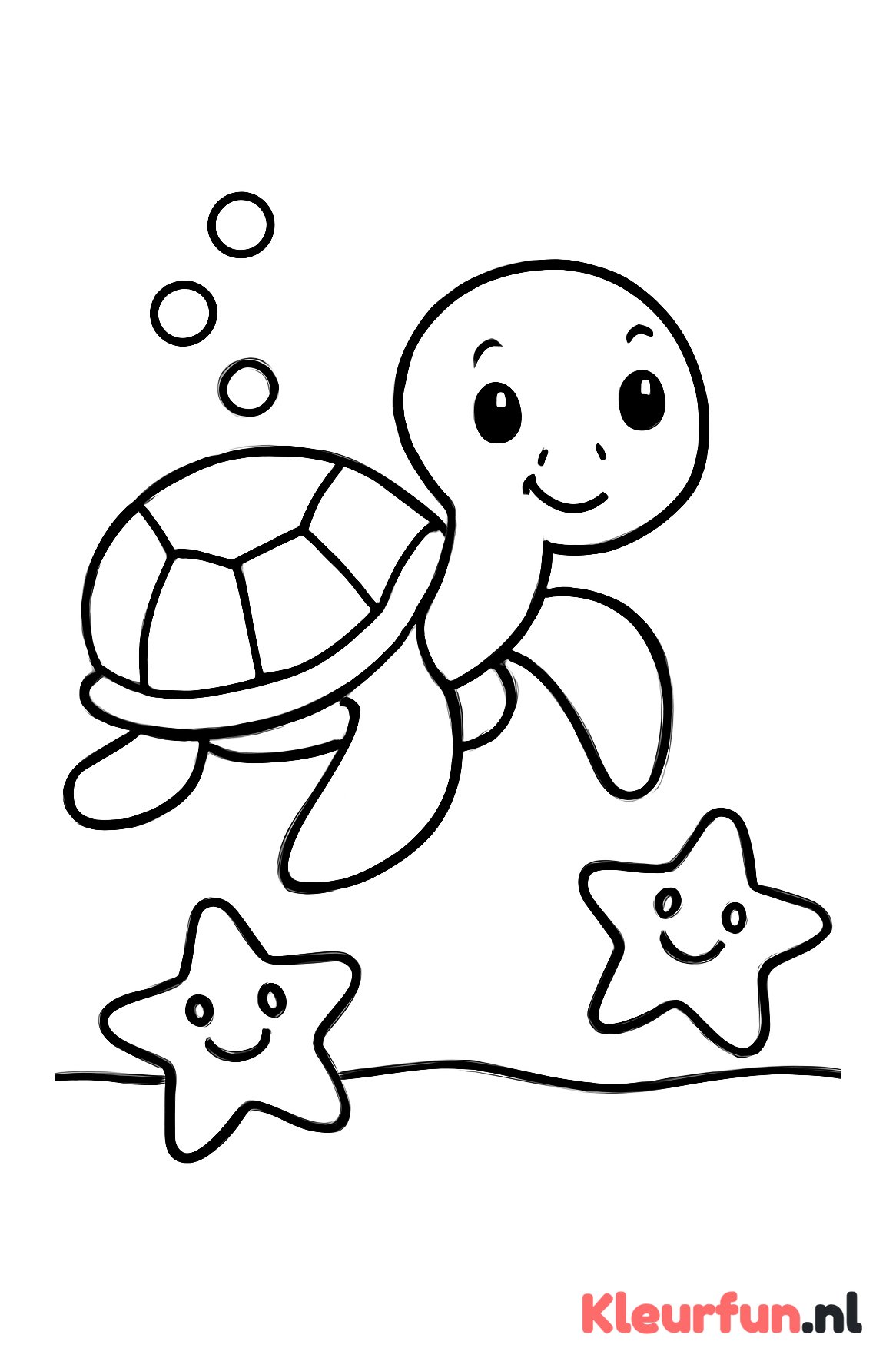Schildpad en zeesterren