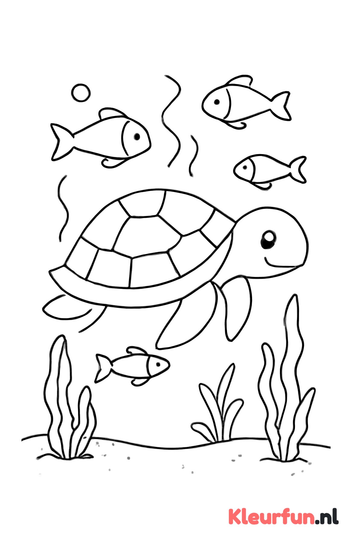 Schildpad in de oceaan