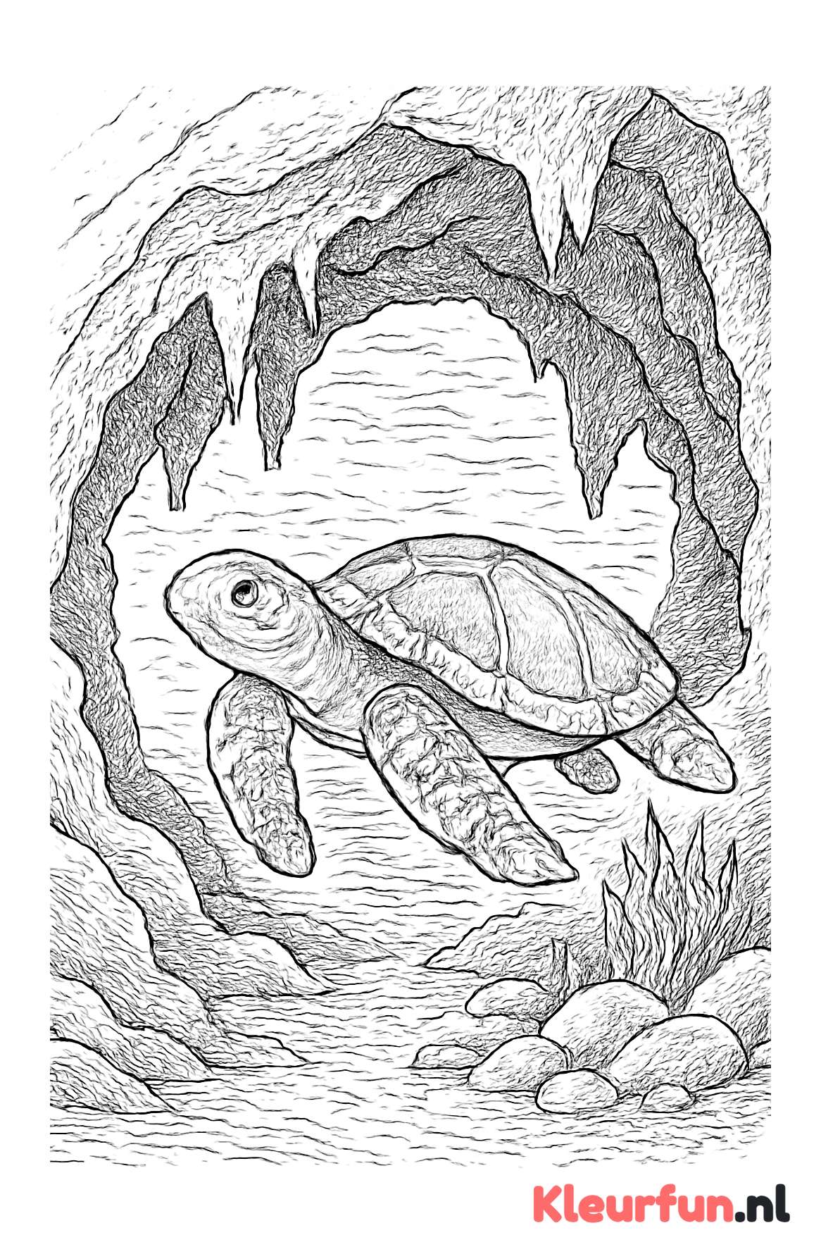 Schildpad in onderwatergrotten