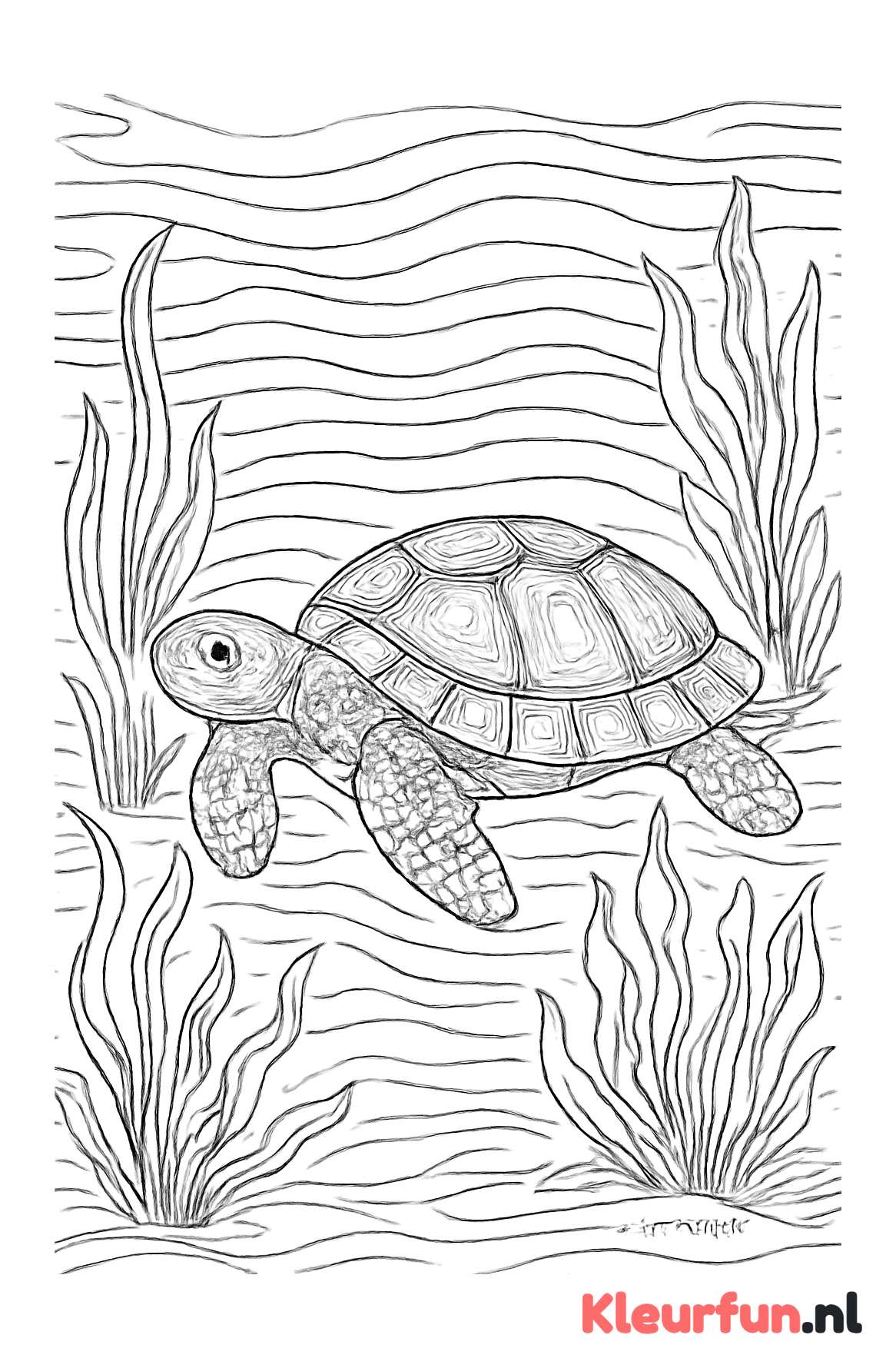 Schildpad tussen waterplanten