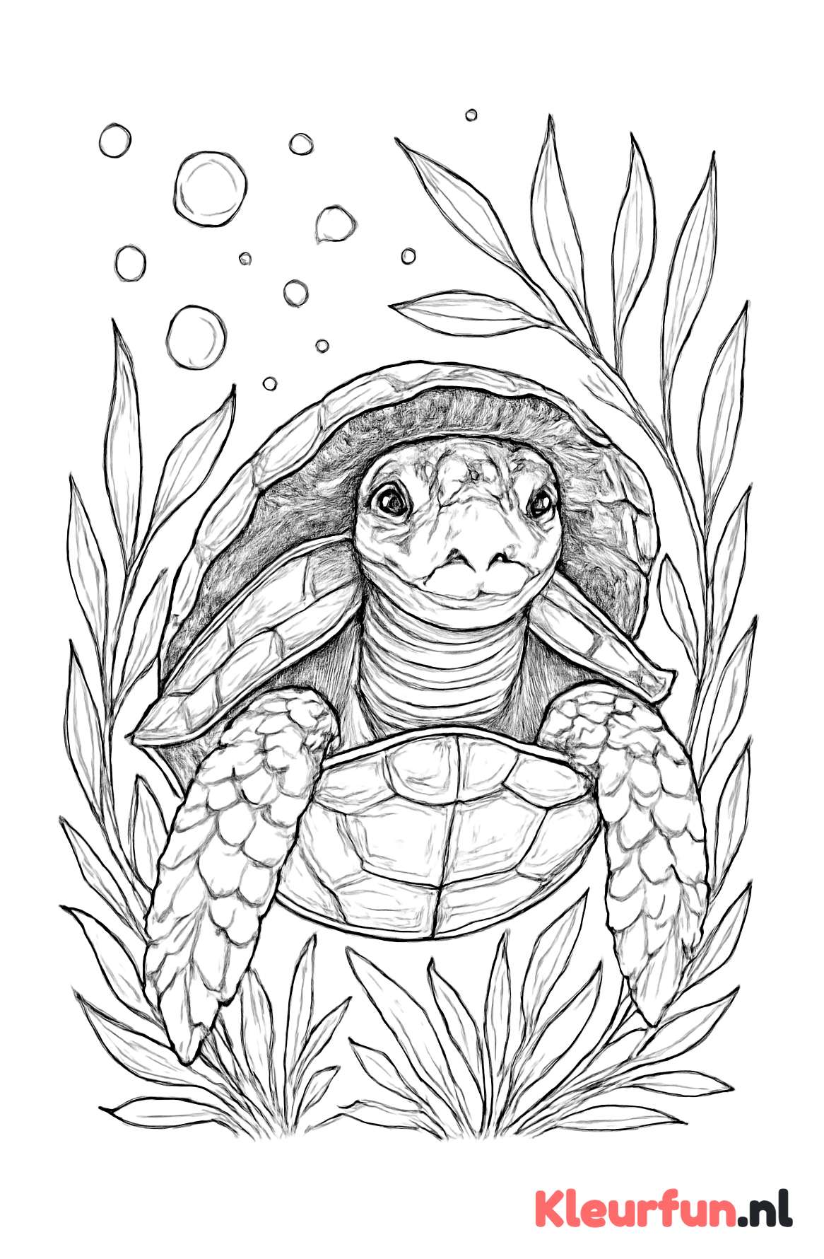 Schildpad die uit een schelp kijkt