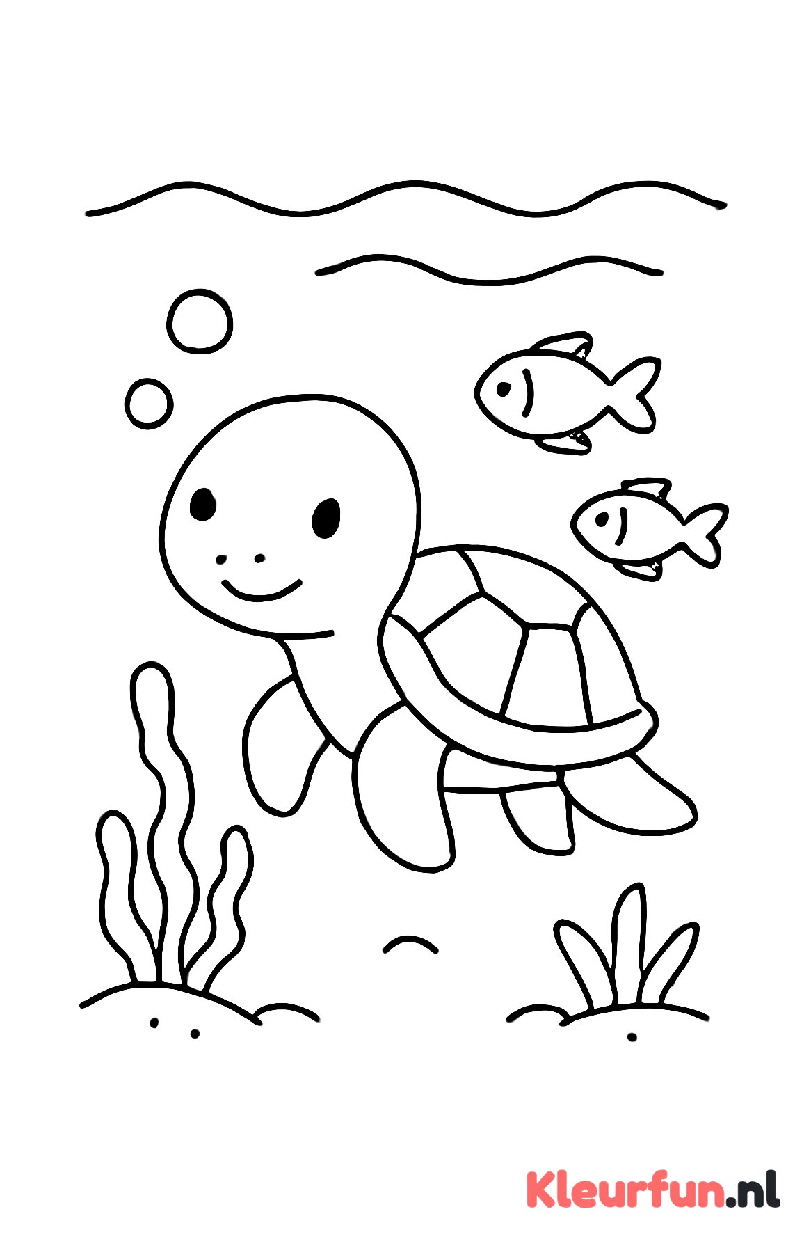 Schildpad met vissen