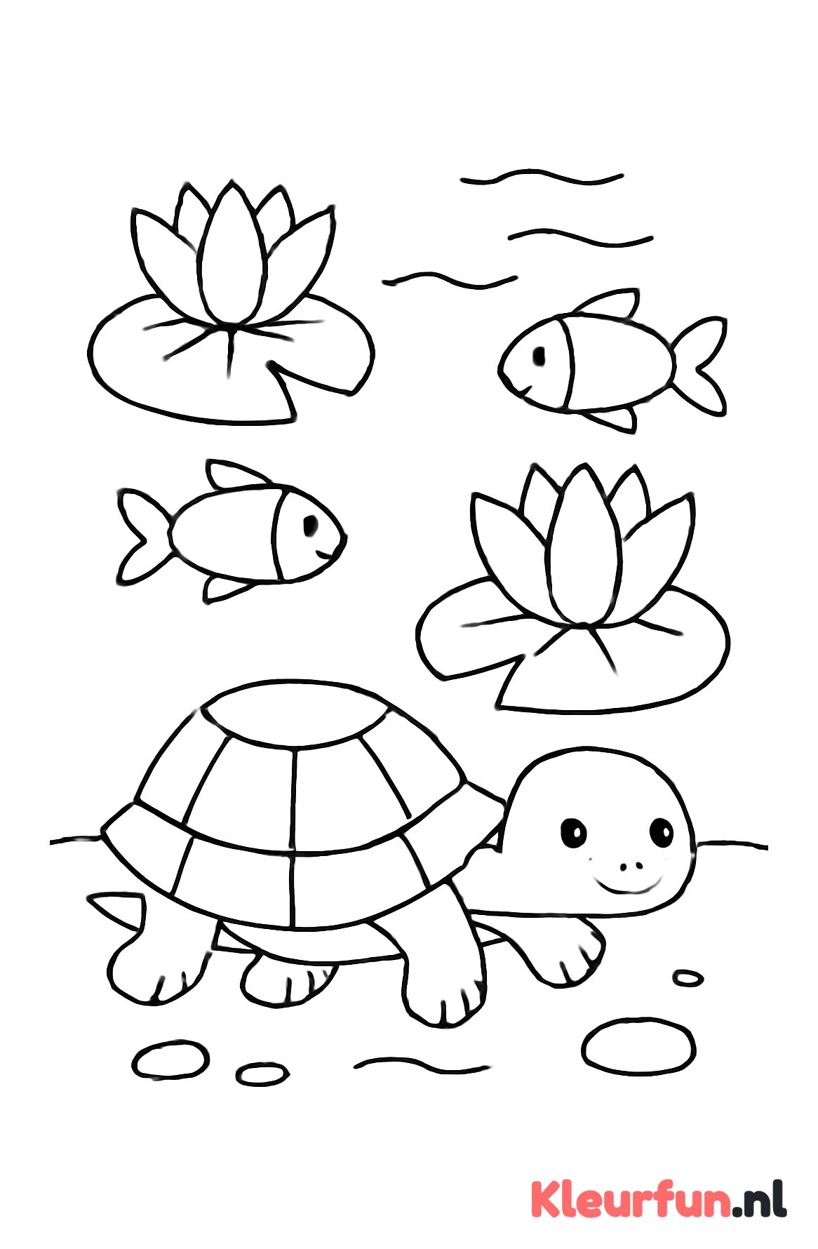 Schildpad bij waterlelies