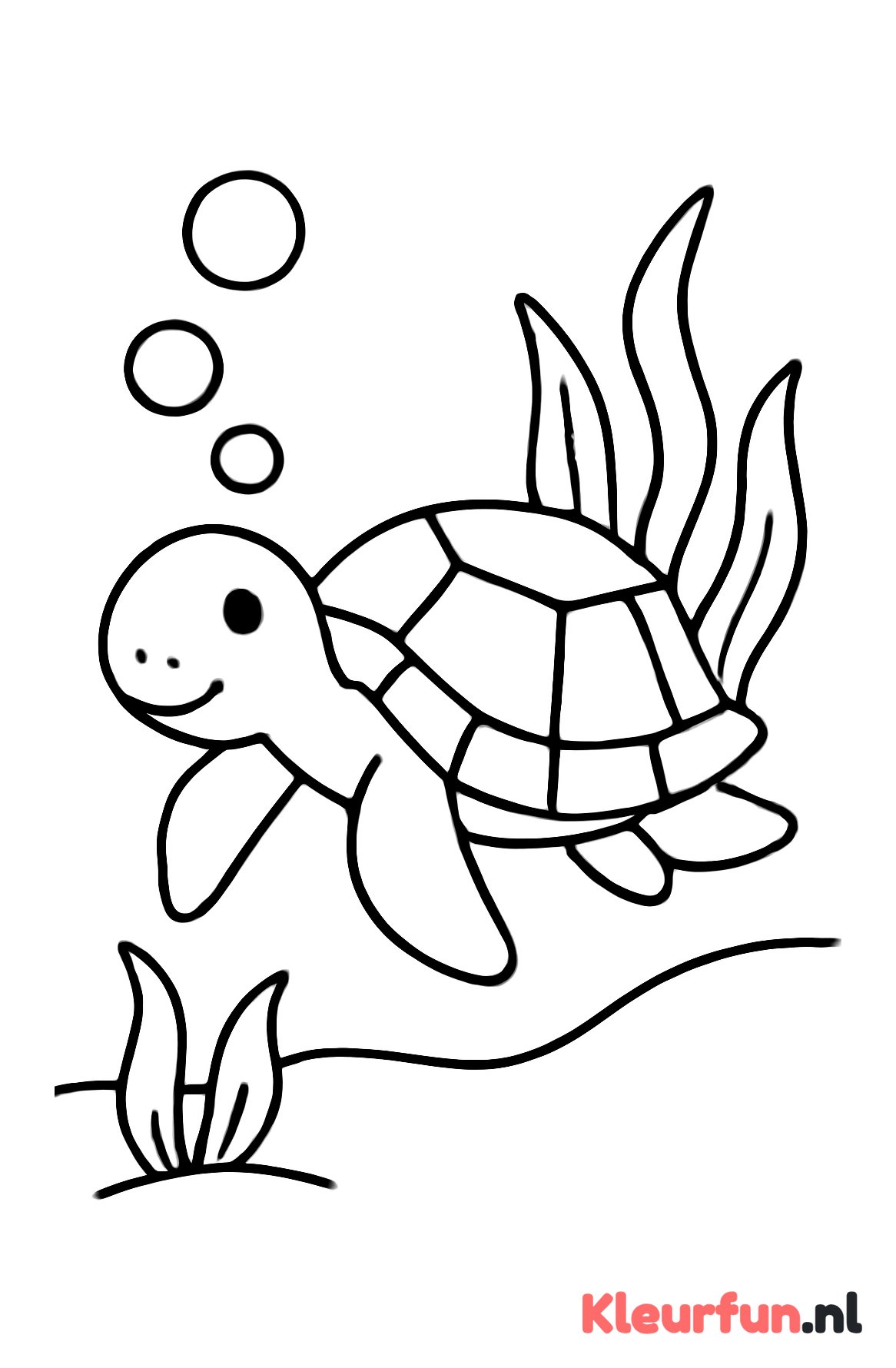 Schildpad op de zeebodem