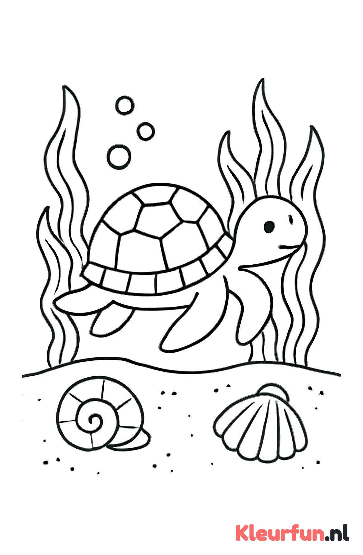 Schildpad tussen zeewieren en schelpen