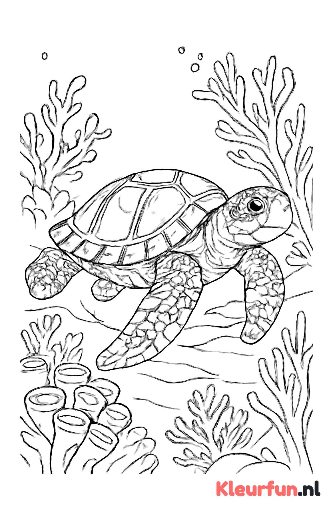 Schildpad zwemt tussen koraalriffen