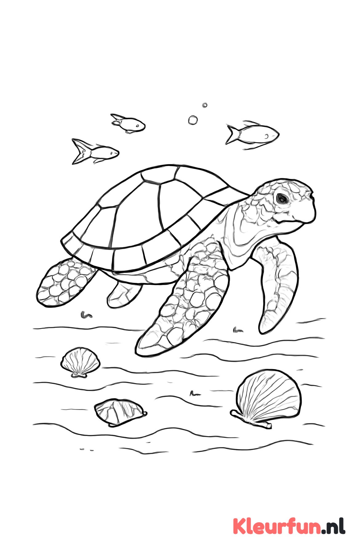 Schildpad zwemt over zandbodem