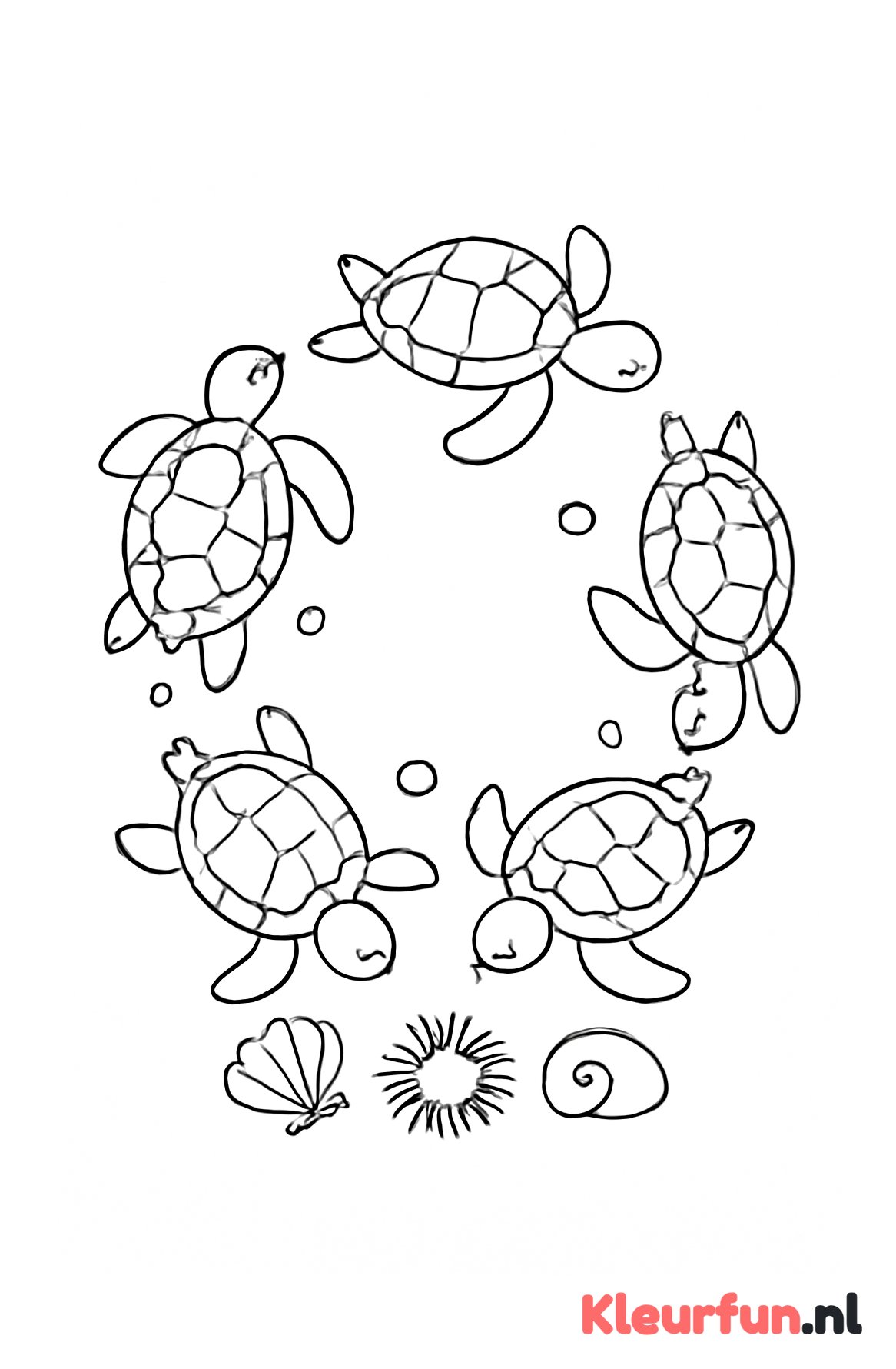 Schildpadden zwemmen in een cirkel