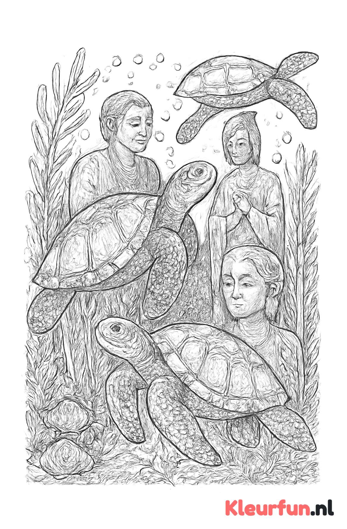 Schildpadden en onderwatersculpturen