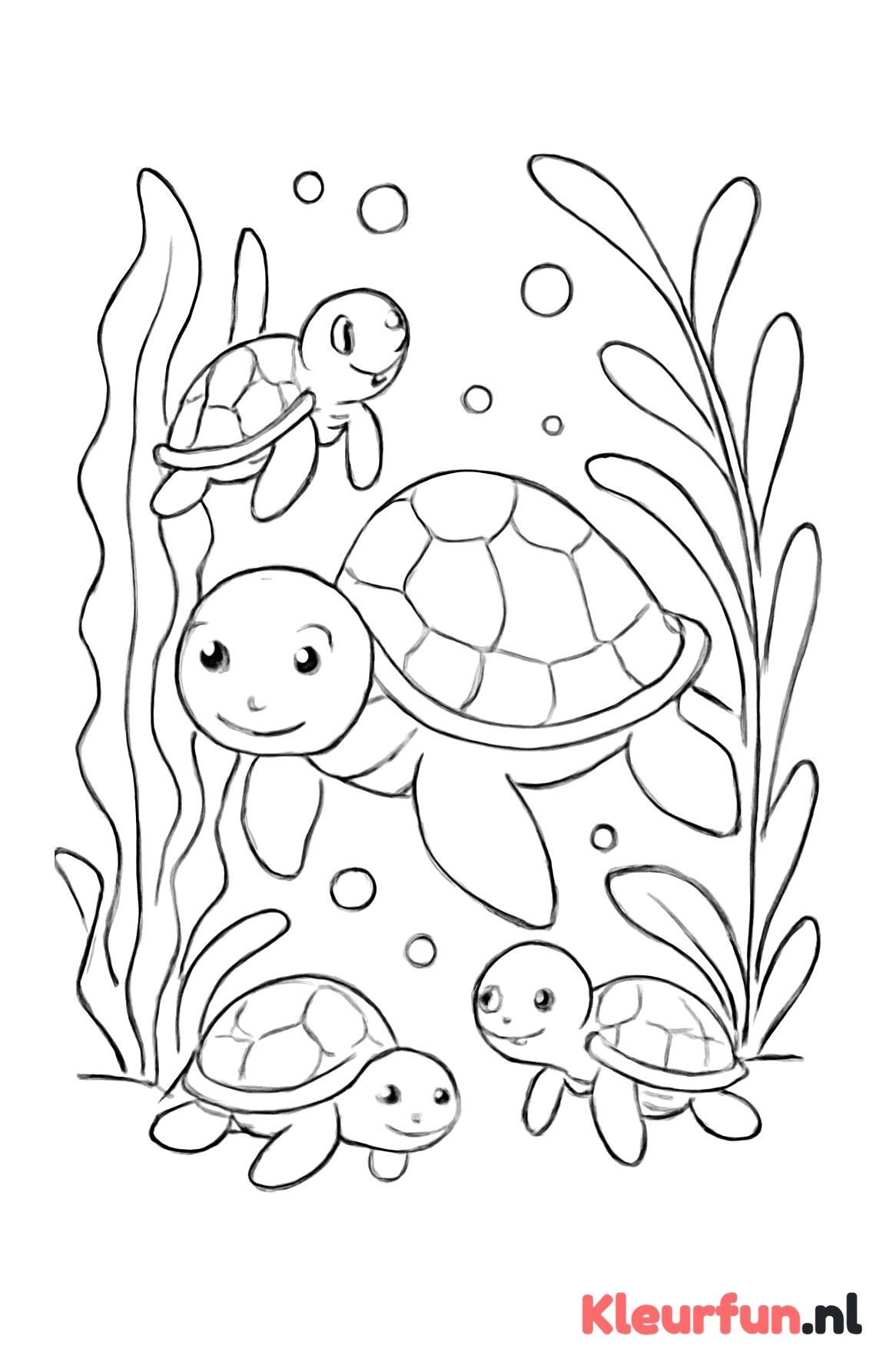 Schildpadfamilie met bubbels