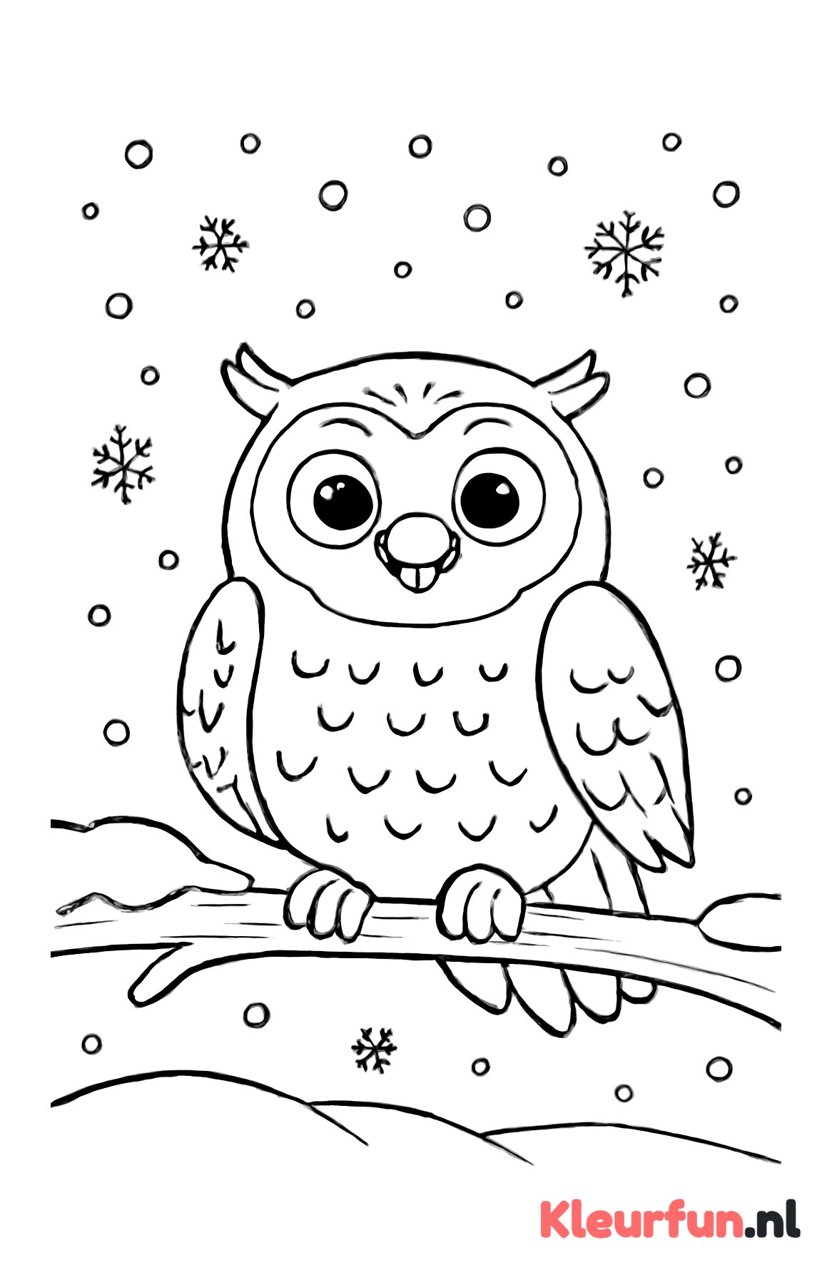 Sneeuwuil op tak