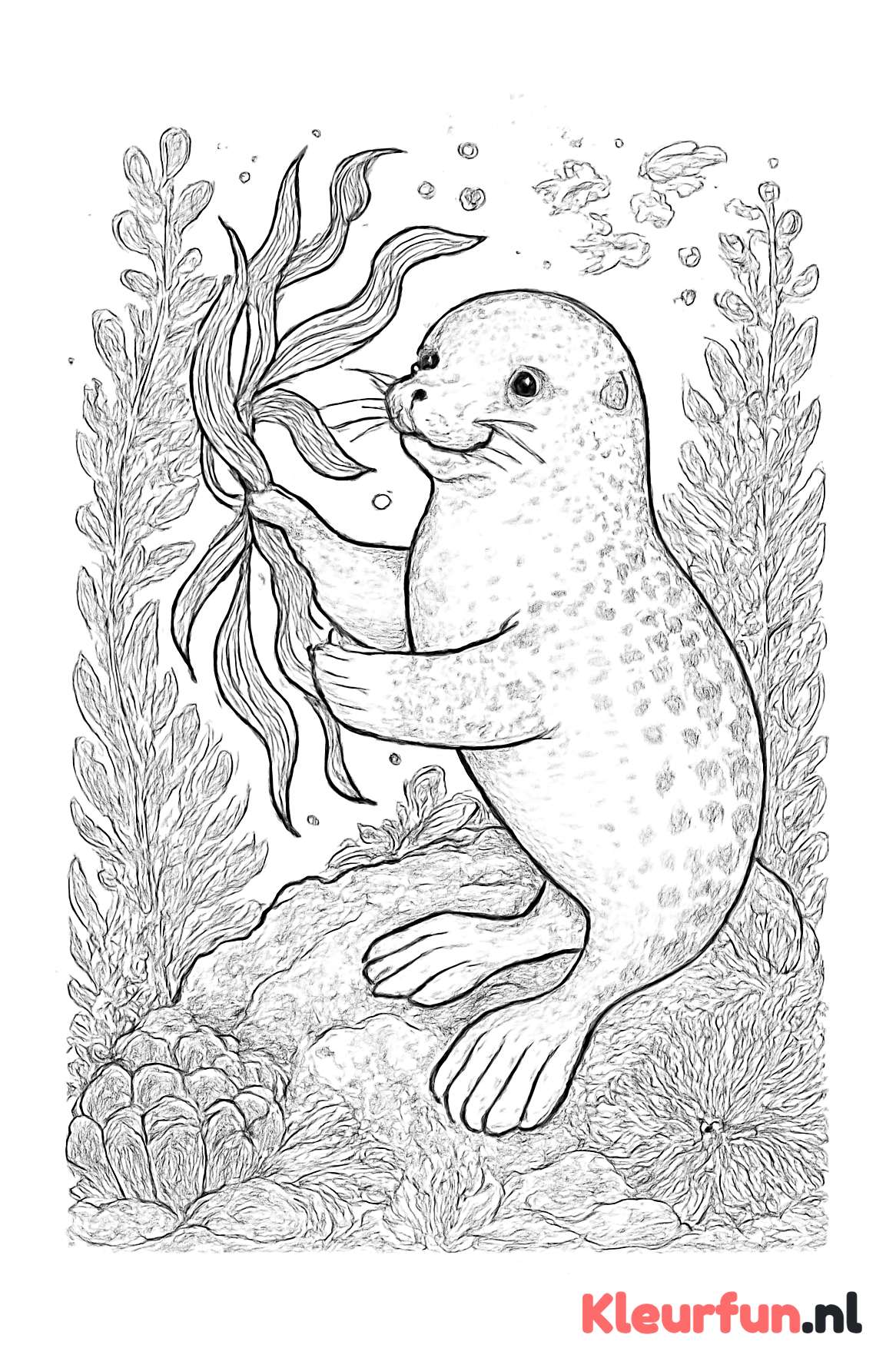 Speelende zeehond onder water