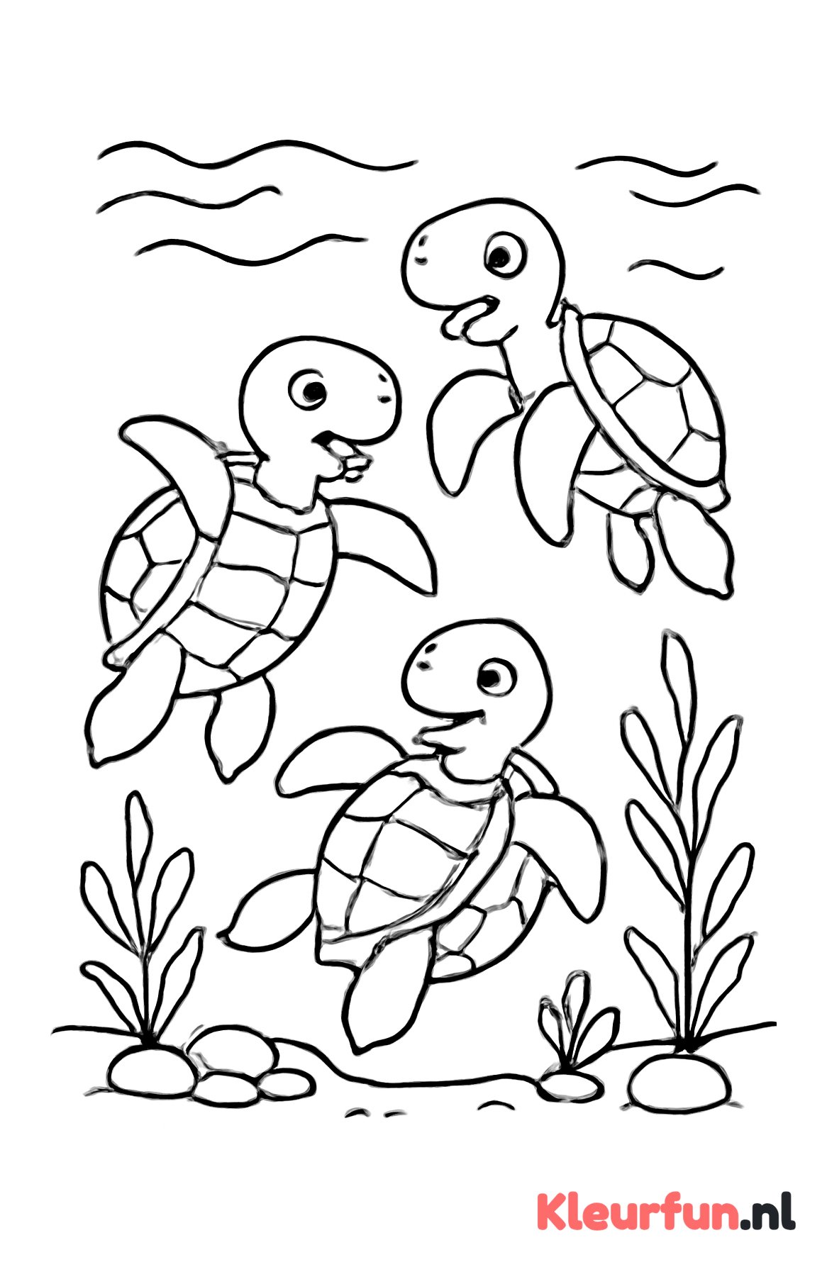 Drie spelende schildpadden