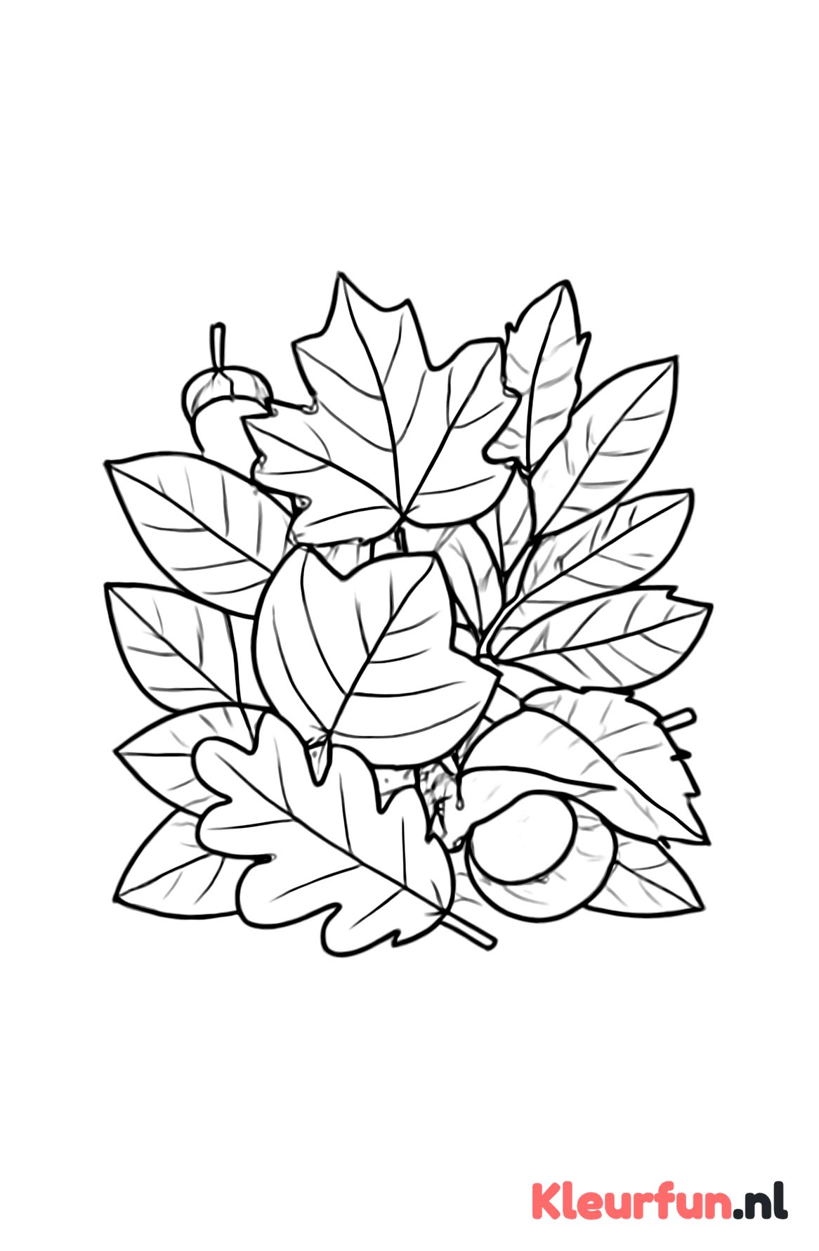 Stapel herfstbladeren met eikels en kastanjes