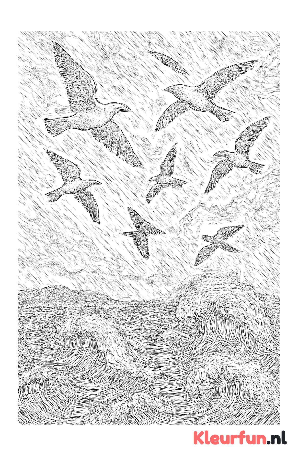 Storm op het meer met vliegende vogels
