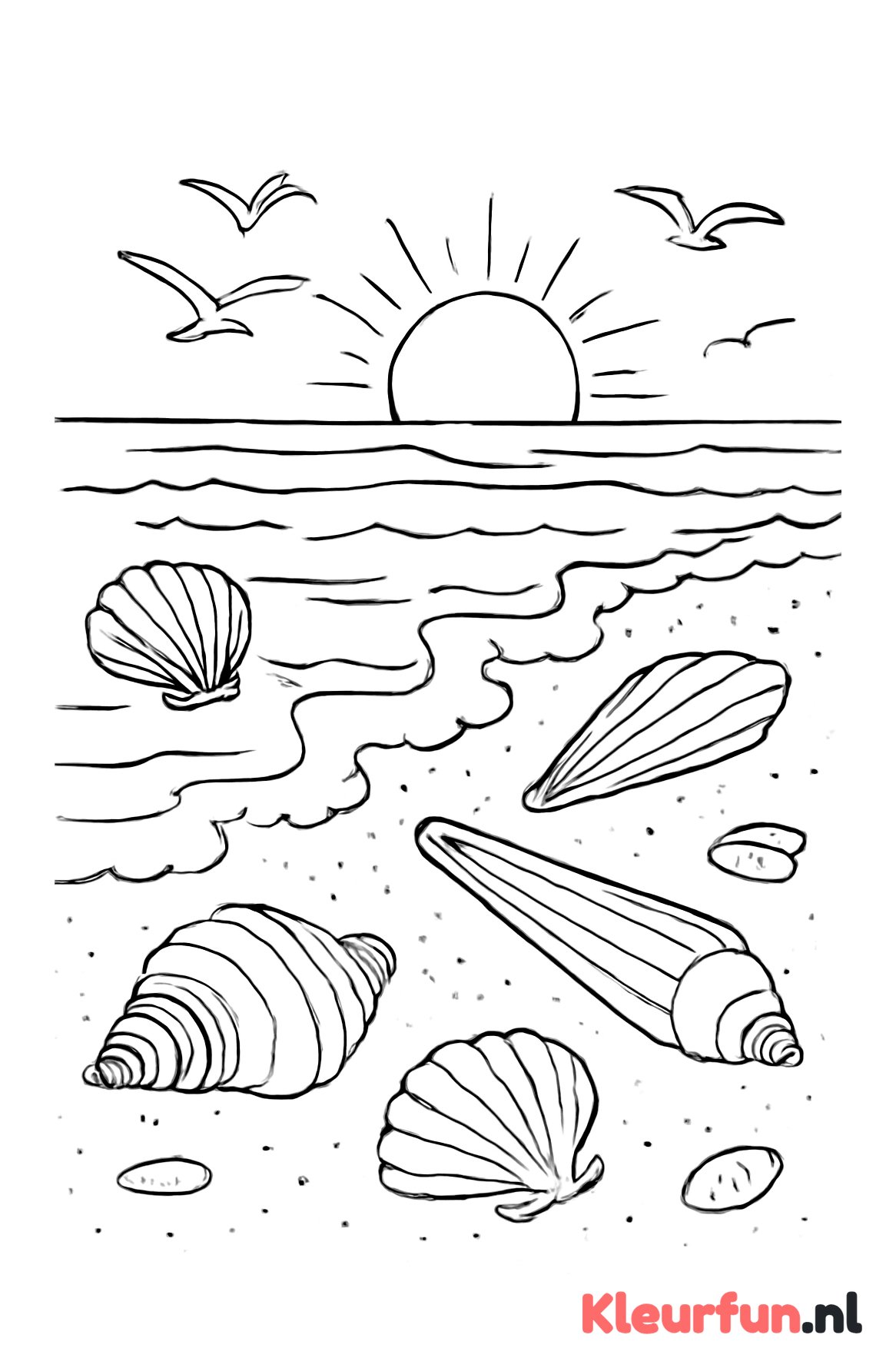 Strand met golven en schelpen