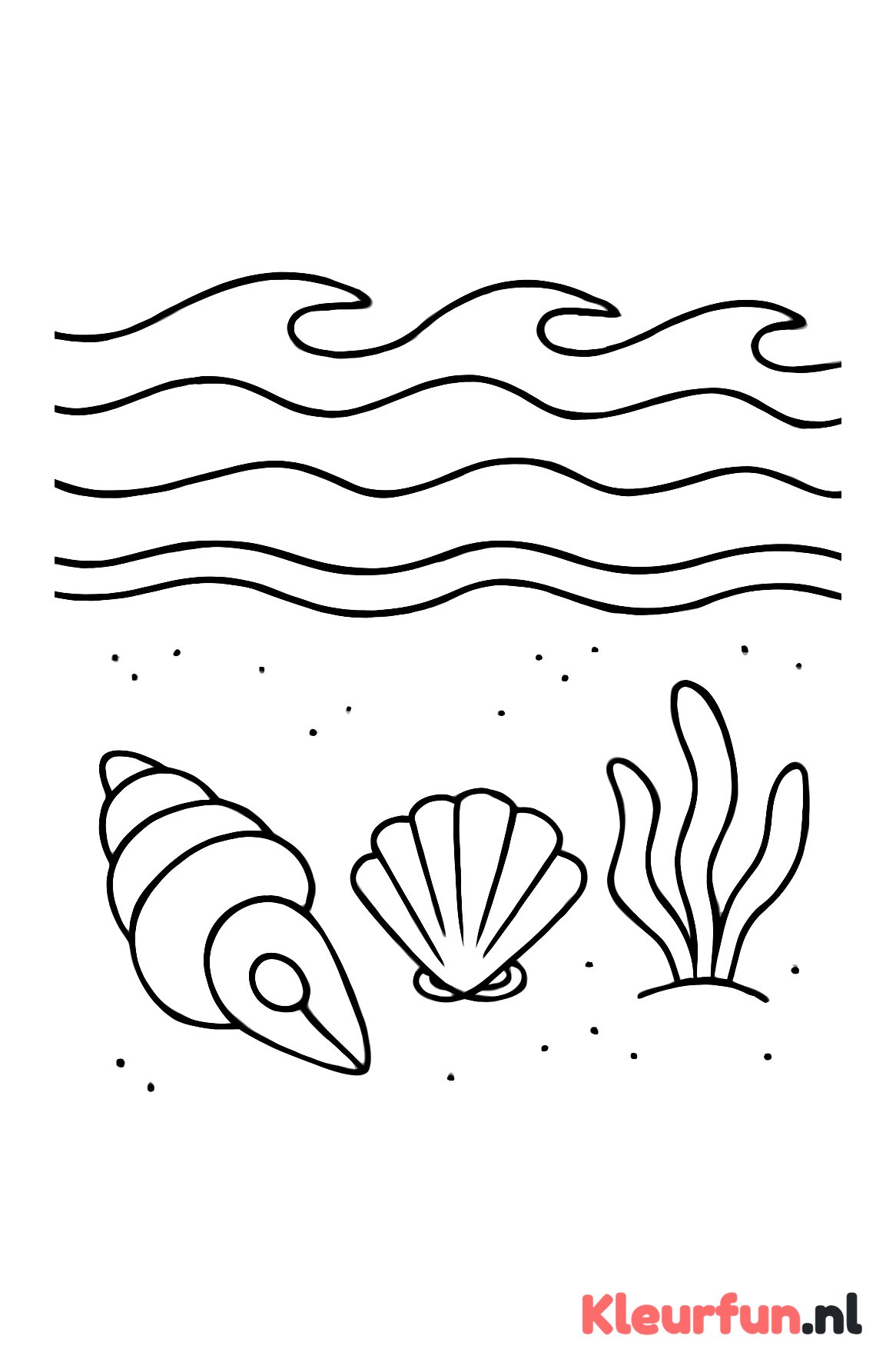 Strand met schelpen en golven