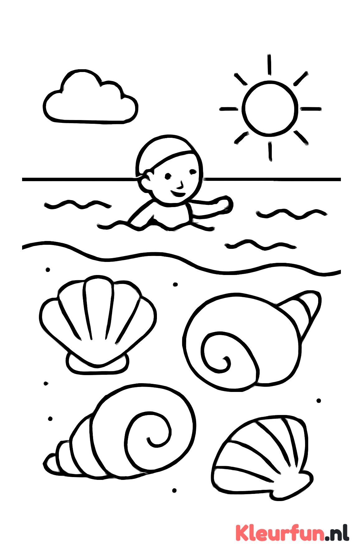 Strand met grote schelpen