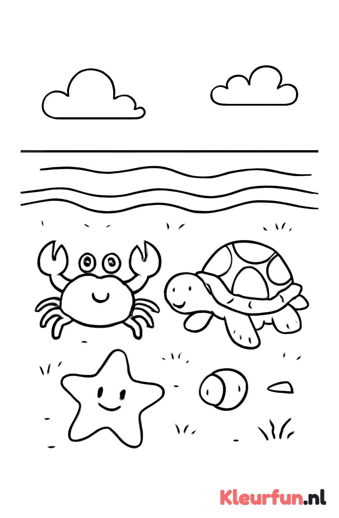 Zeedieren op het strand