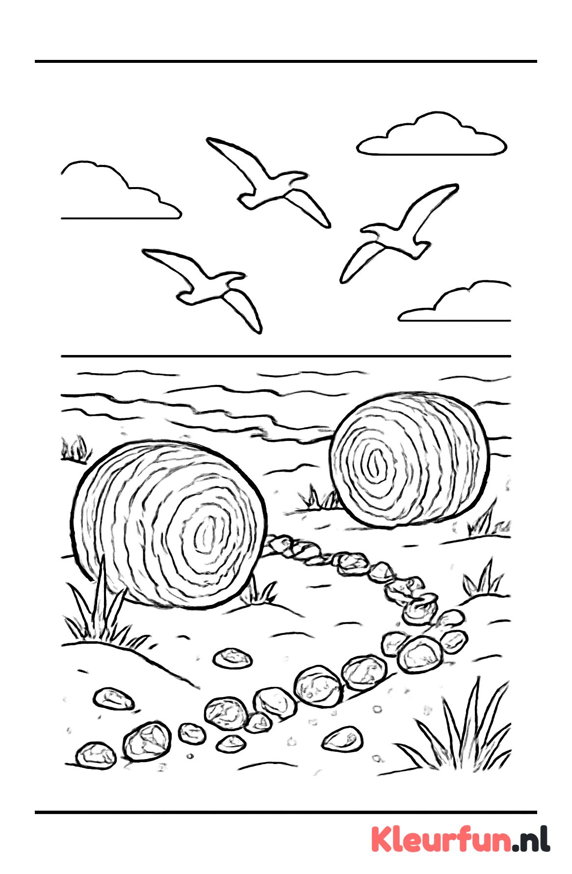 Strandlandschap met zeegras en zeevogels